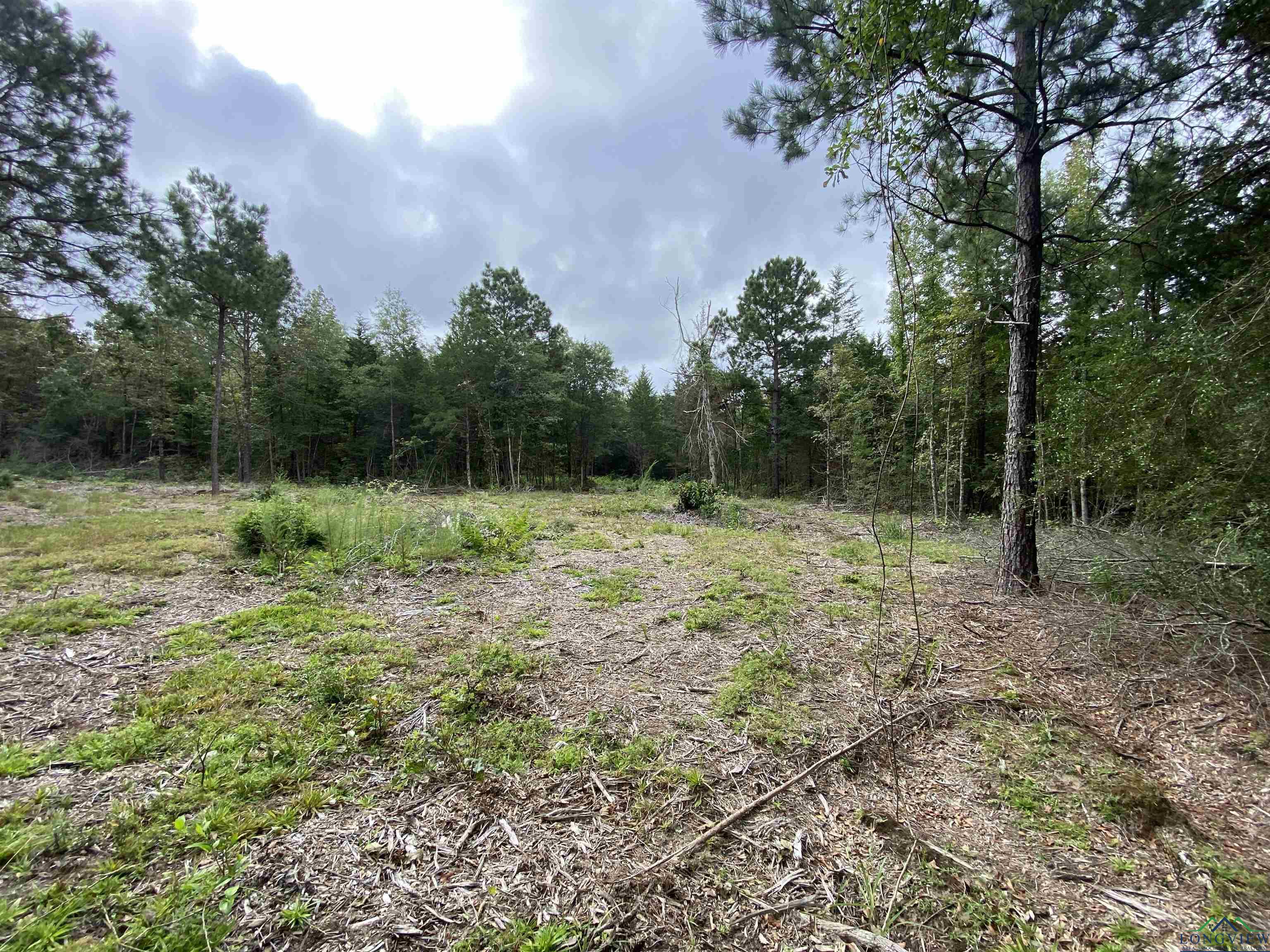 TBD Cr 1769, Linden, Texas image 16