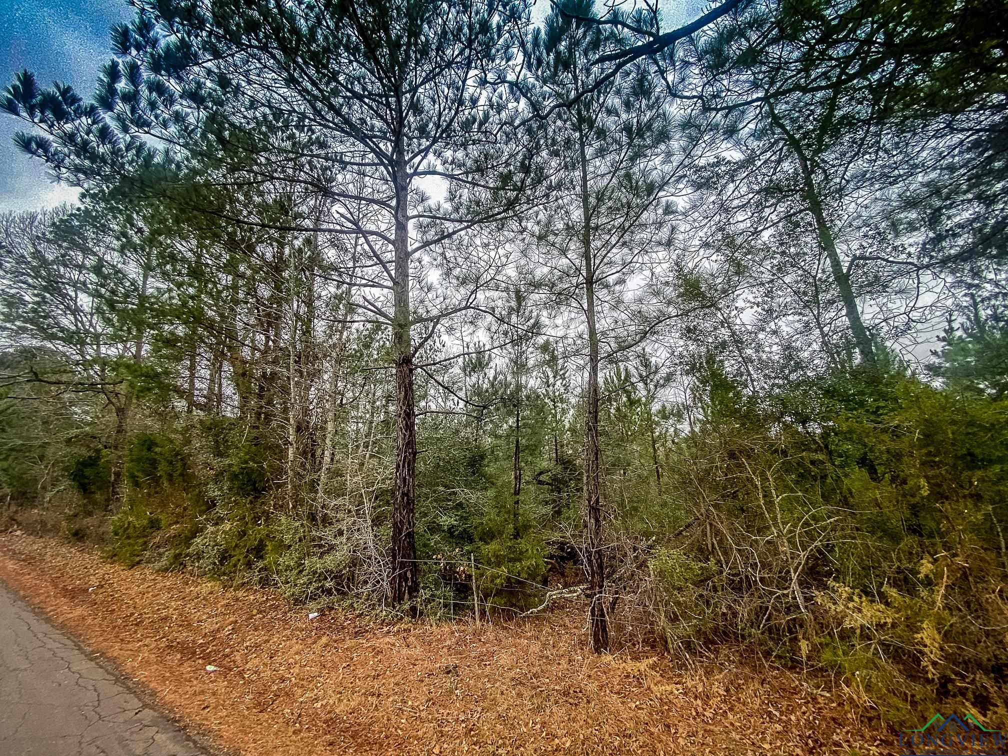 LOT 1 Maple Springs Rd, Hallsville, Texas image 9