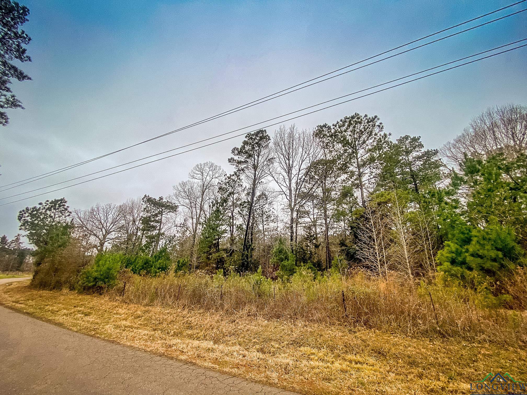 LOT 1 Maple Springs Rd, Hallsville, Texas image 2