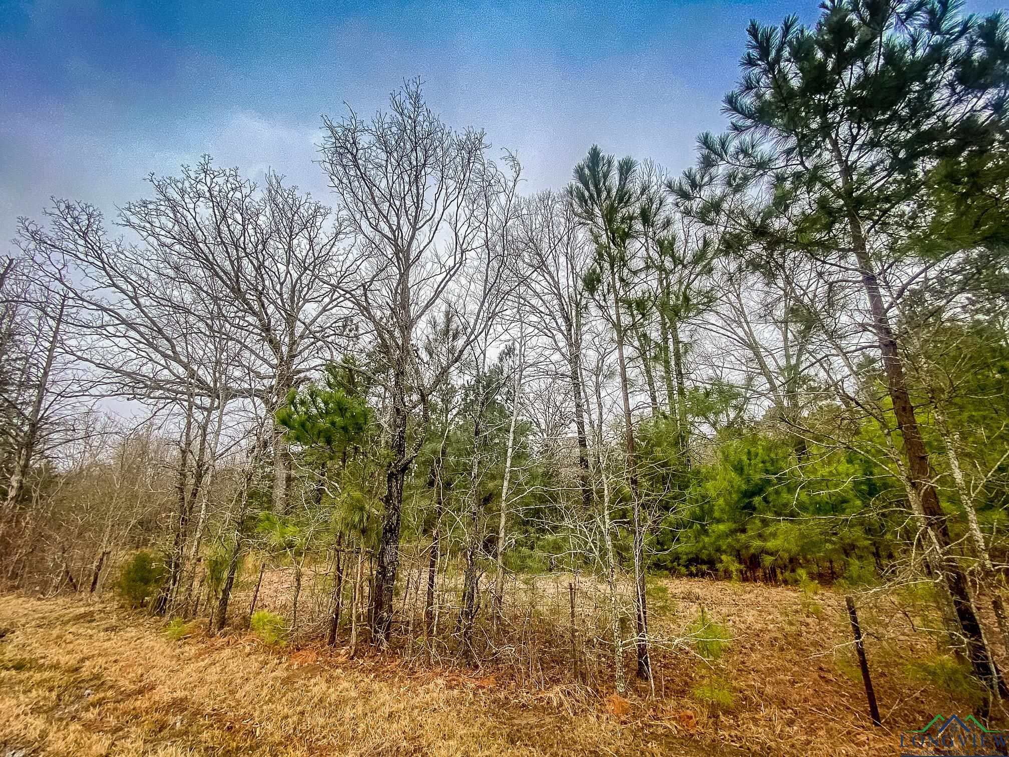 LOT 1 Maple Springs Rd, Hallsville, Texas image 5