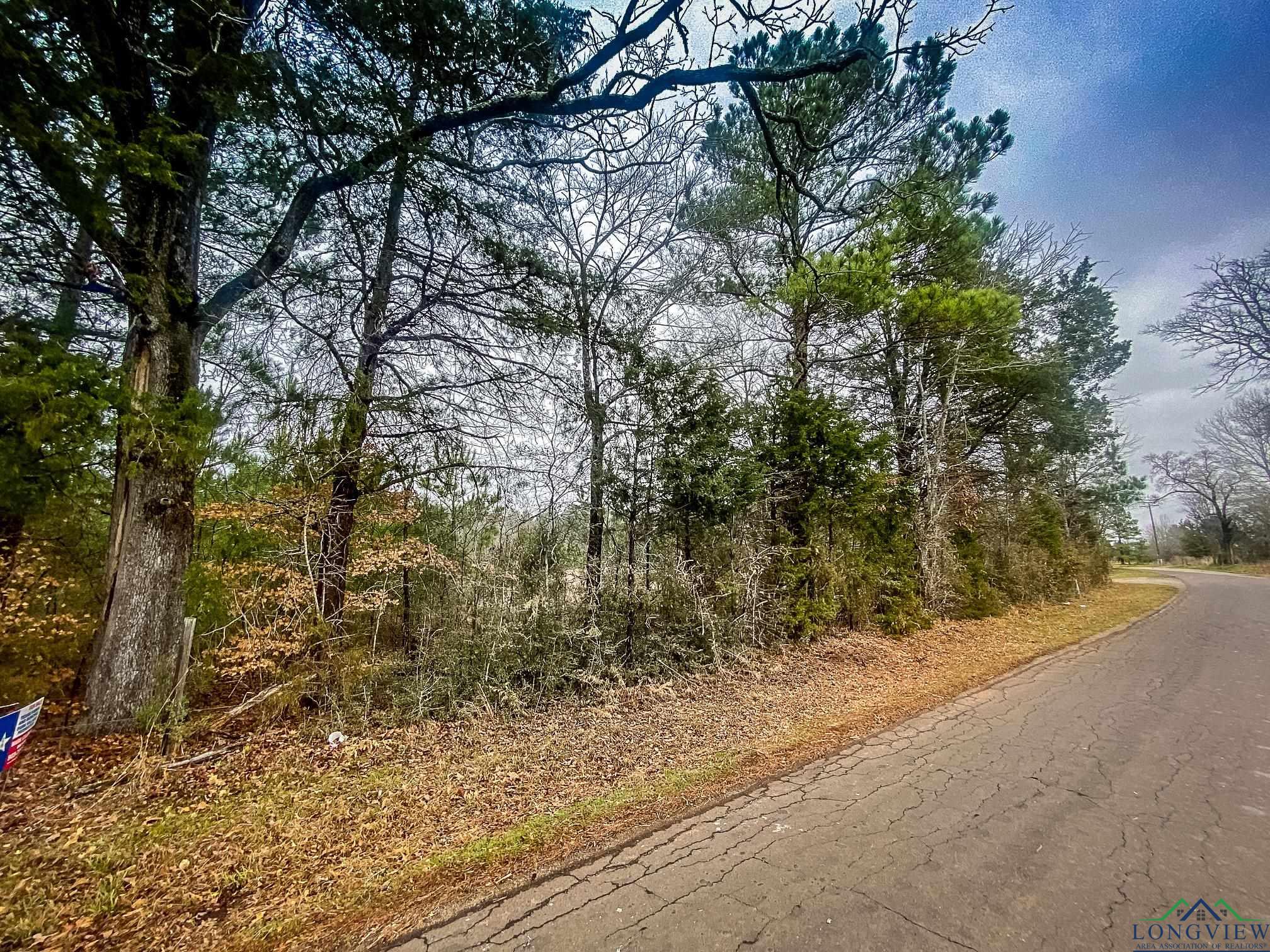 LOT 1 Maple Springs Rd, Hallsville, Texas image 6