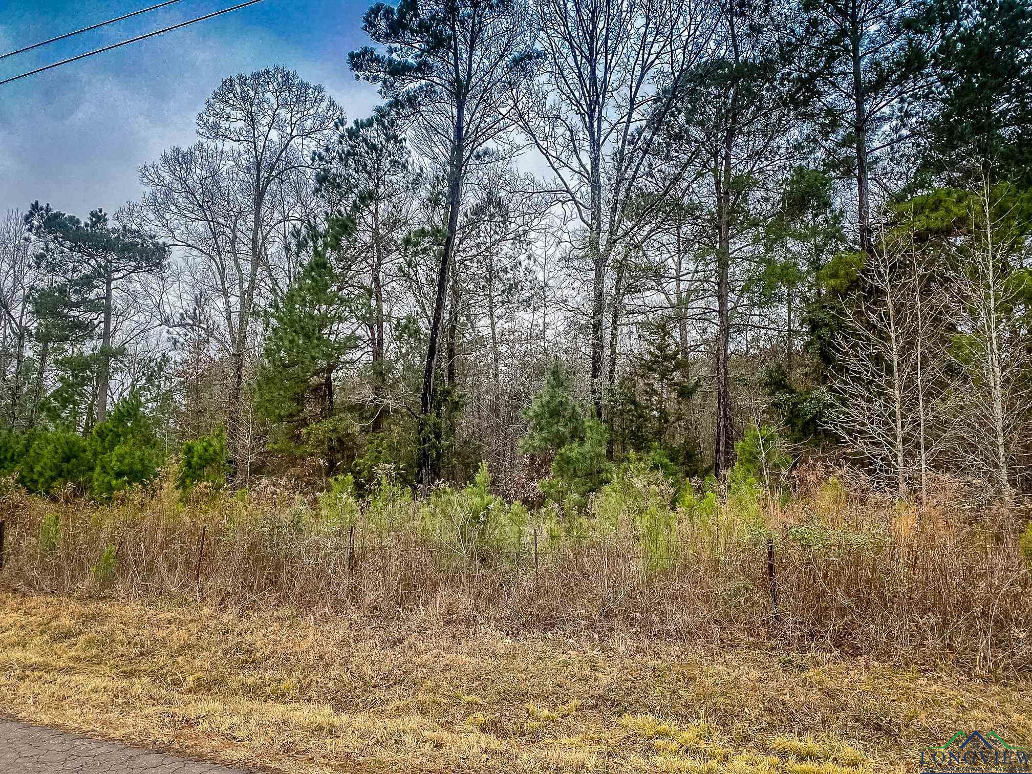 LOT 1 Maple Springs Rd, Hallsville, Texas image 3