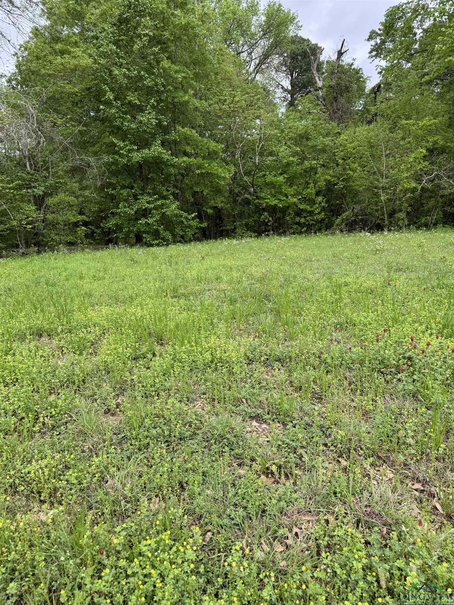 901 Sabine St, Longview, Texas image 2