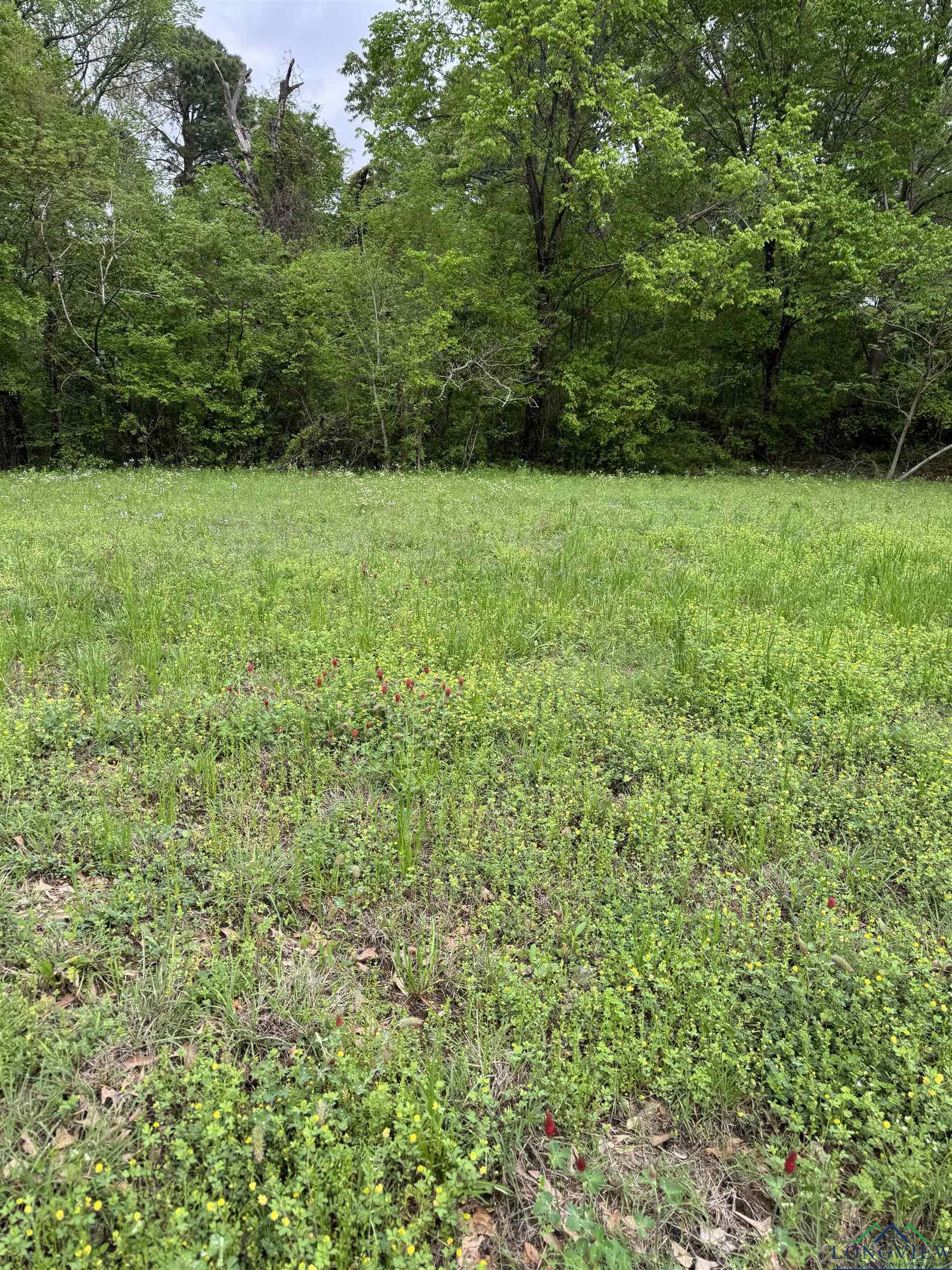 901 Sabine St, Longview, Texas image 1