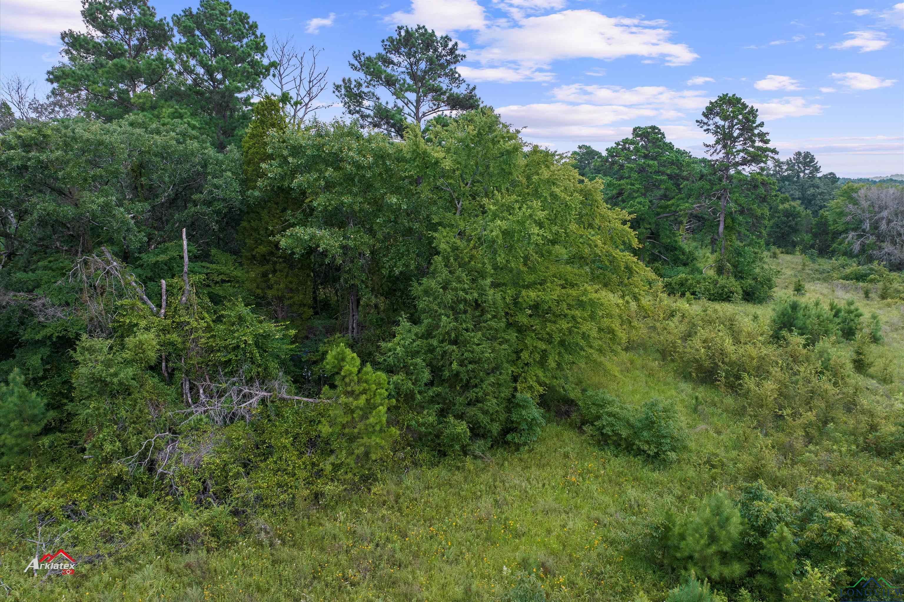 TBD Cr 237 E, Henderson, Texas image 7