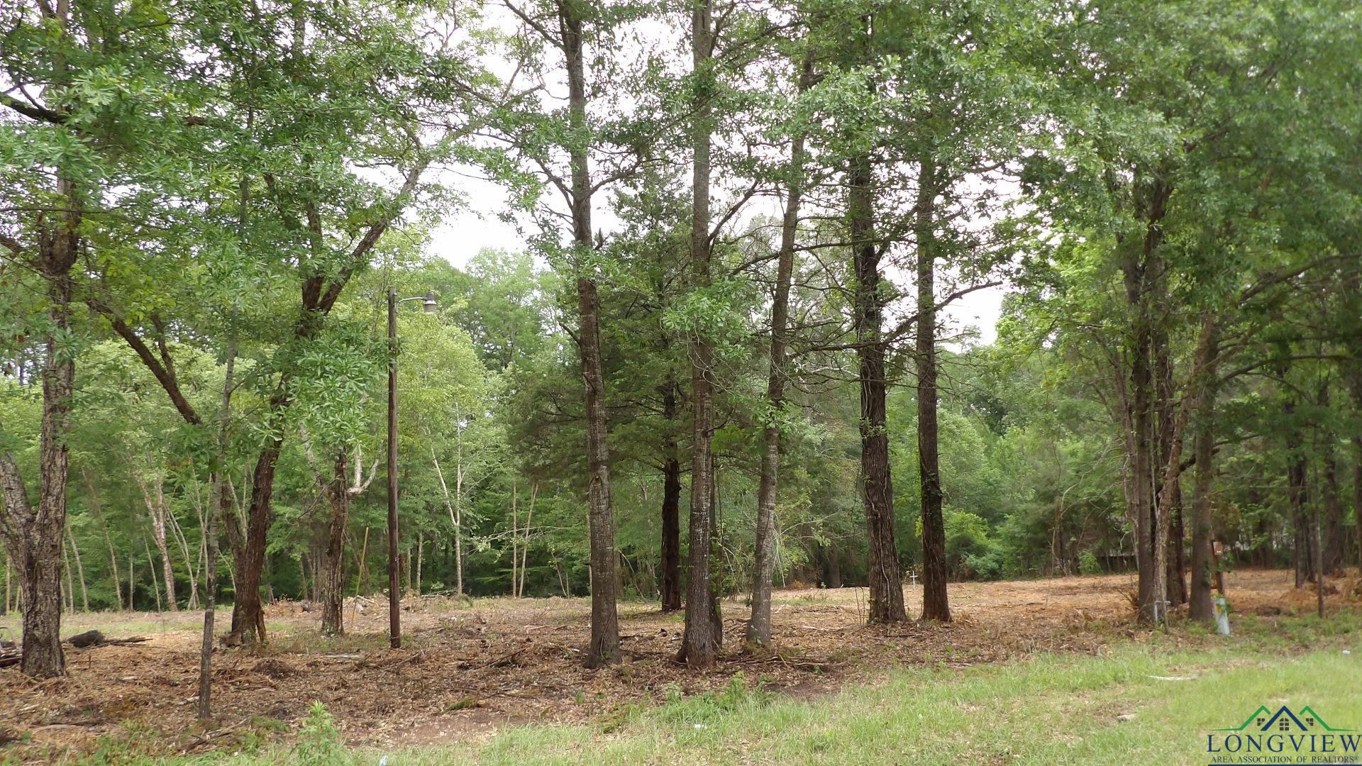 18 AC Shelley Rd, Jefferson, Texas image 3