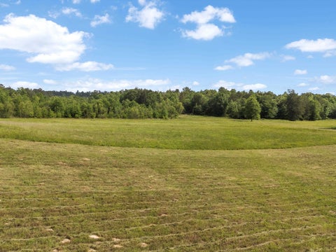 Vacant Land For Sale - 67 ACRES S Live Oak Rd<br/> Gilmer, TX 75644