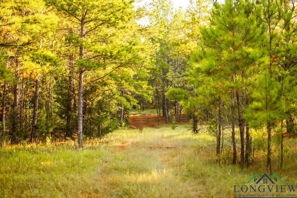 Lot 41 Fm 2015, Tyler, Texas image 8