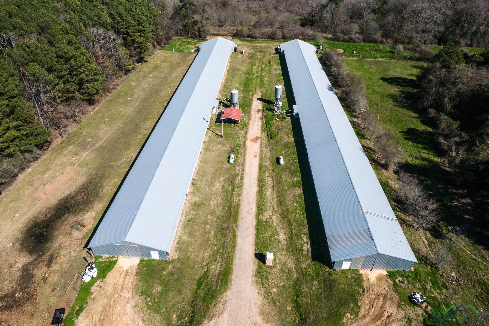 2917-01 Farm Market 3359, Carthage, Texas image 18