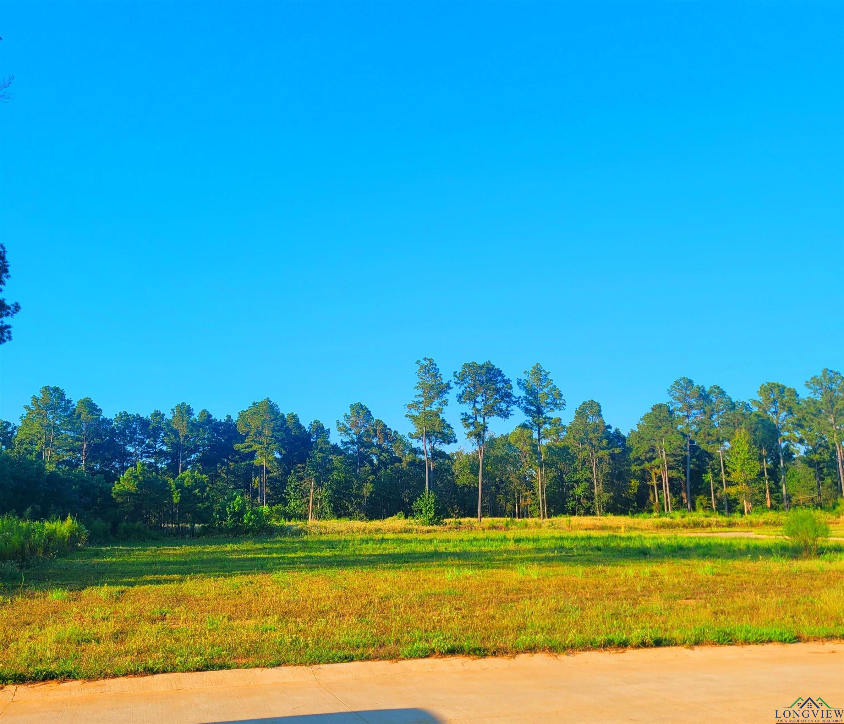 Southern Pines Lot 25, Hallsville, Texas image 2