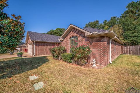 A home in Hallsville