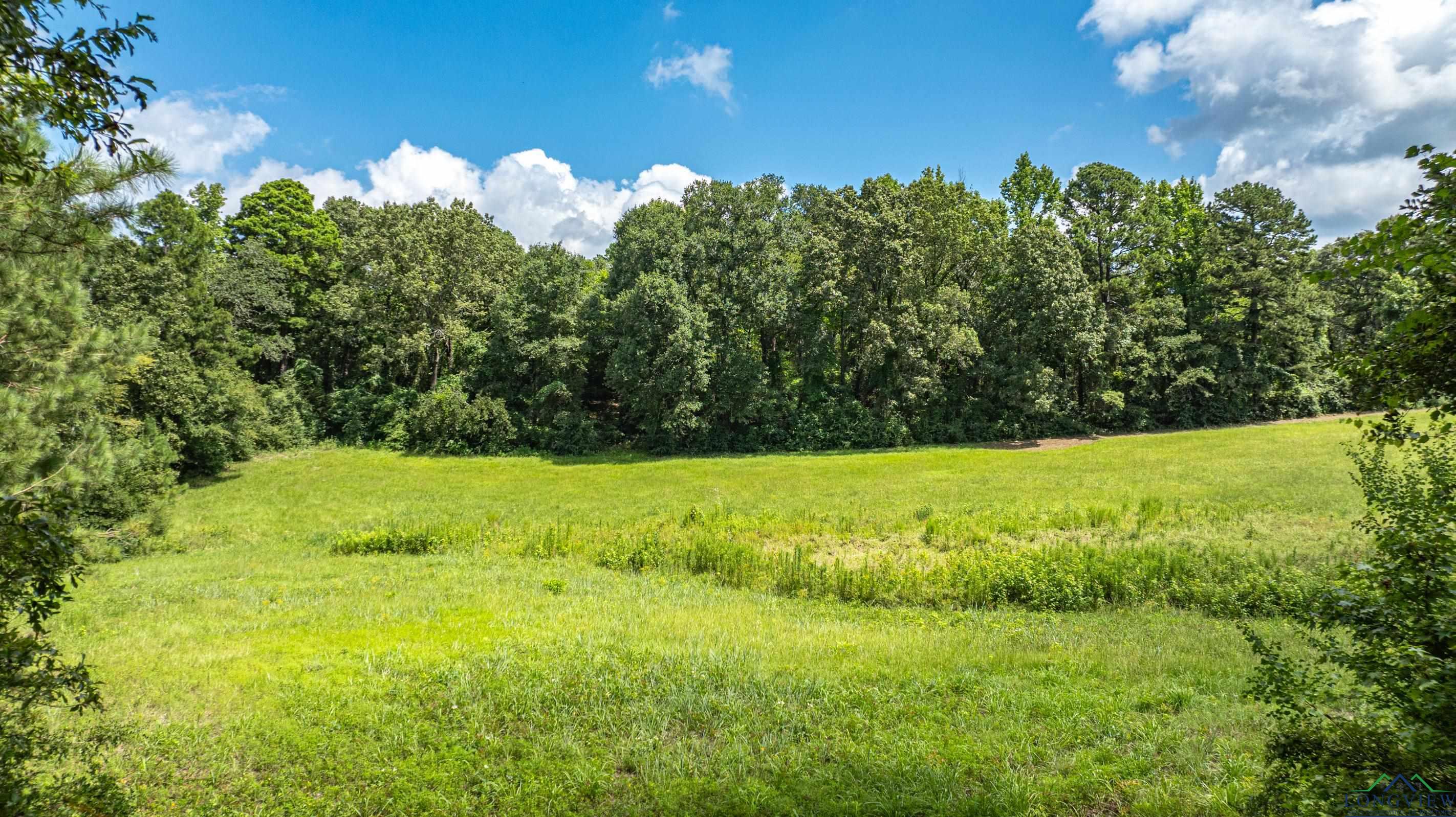 TBD Cr 1660, Mount Pleasant, Texas image 3