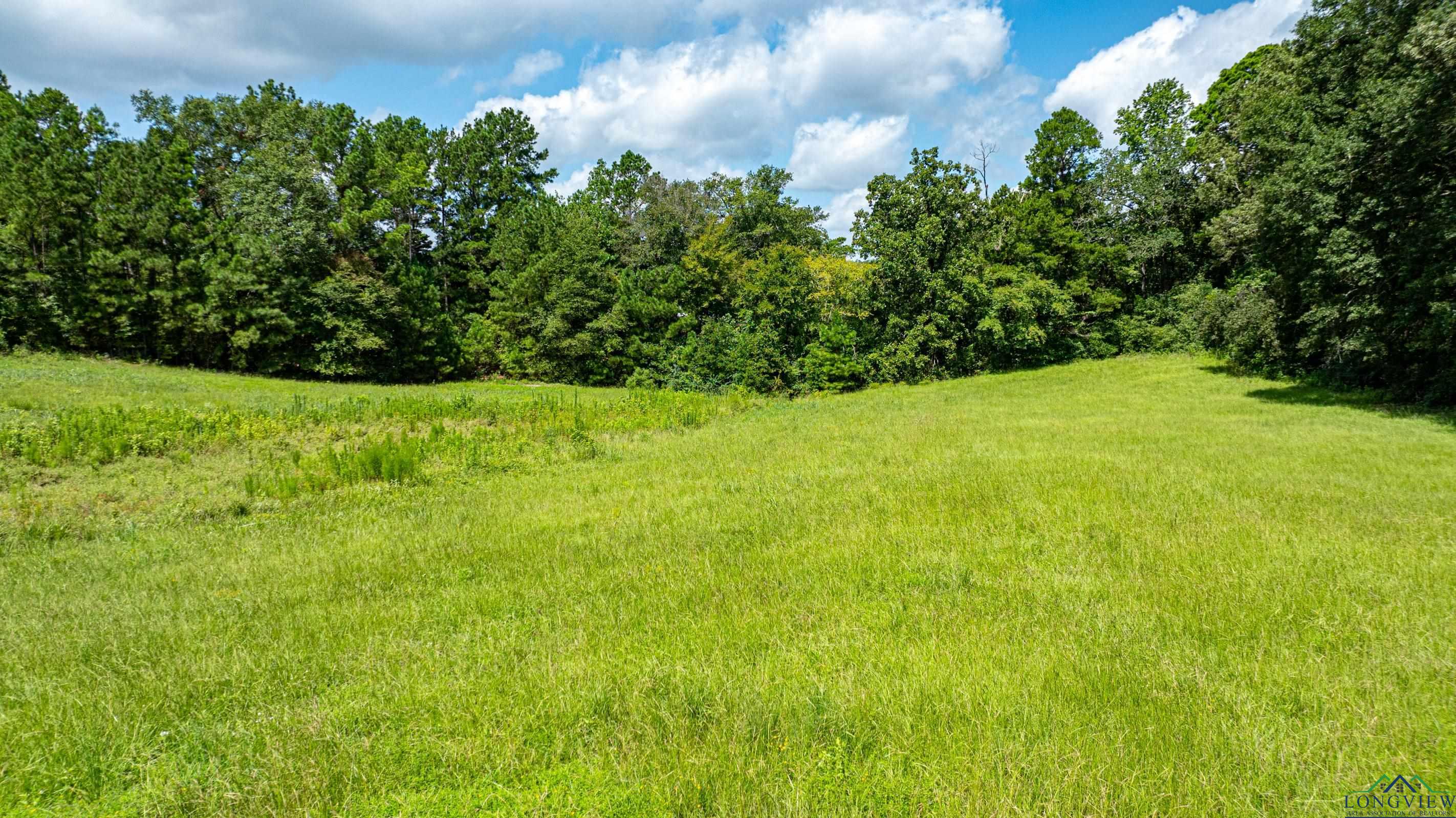 TBD Cr 1660, Mount Pleasant, Texas image 5