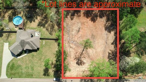 Vacant Land For Sale - LOT 66 Tbd Bralan Dr<br/> Diana, TX 75640