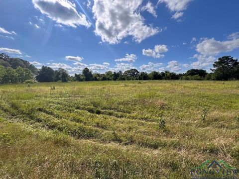 Vacant Land For Sale - 5.417 AC Fm 2276<br/> Kilgore, TX 75662