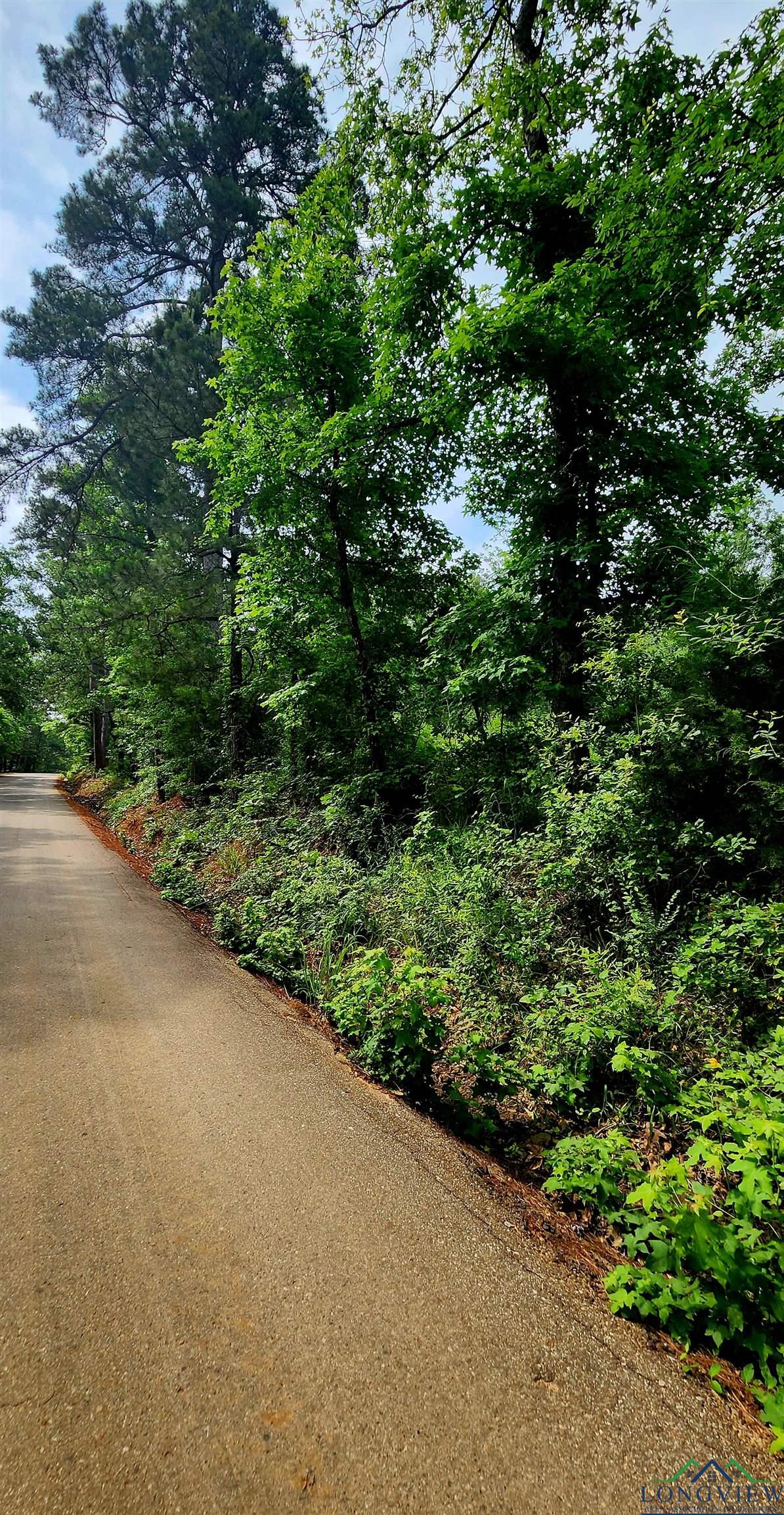 TBD Bobwhite Rd, Gilmer, Texas image 2