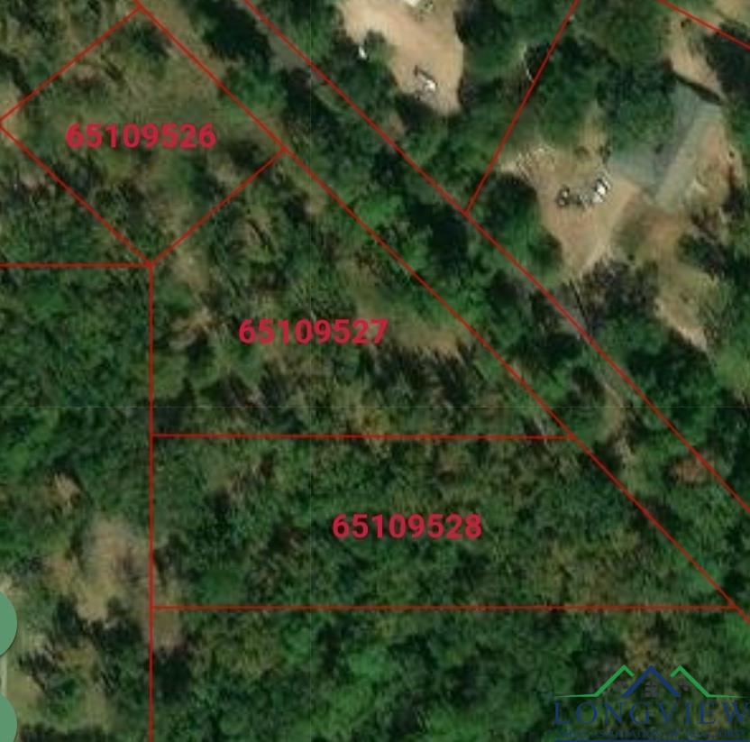 TBD Bobwhite Rd, Gilmer, Texas image 7