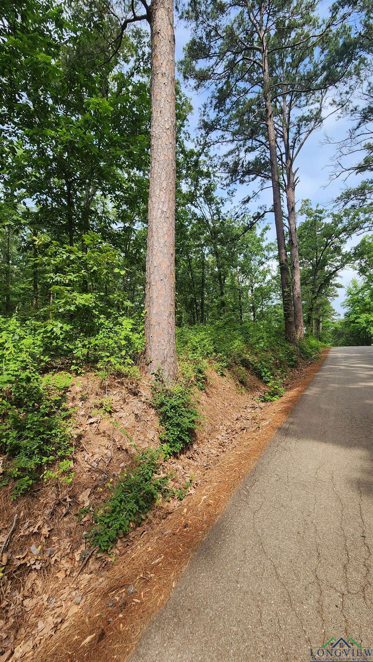 TBD Bobwhite Rd, Gilmer, Texas image 3