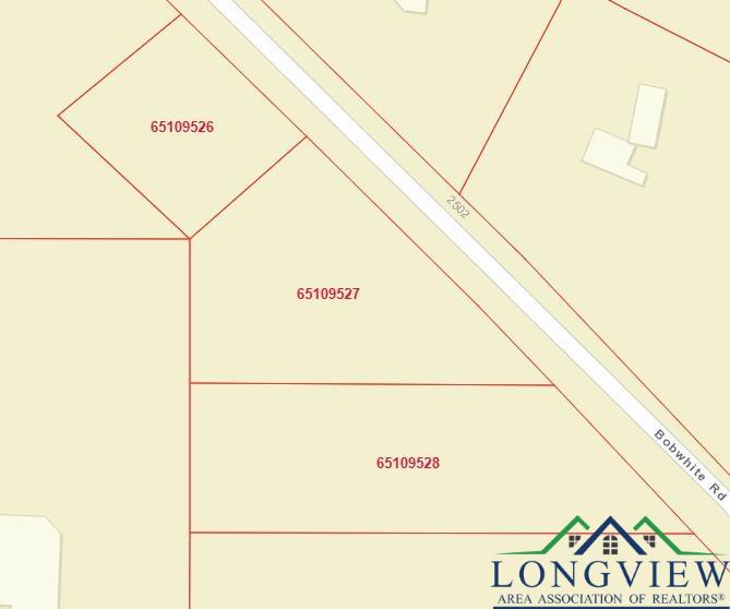 TBD Bobwhite Rd, Gilmer, Texas image 6