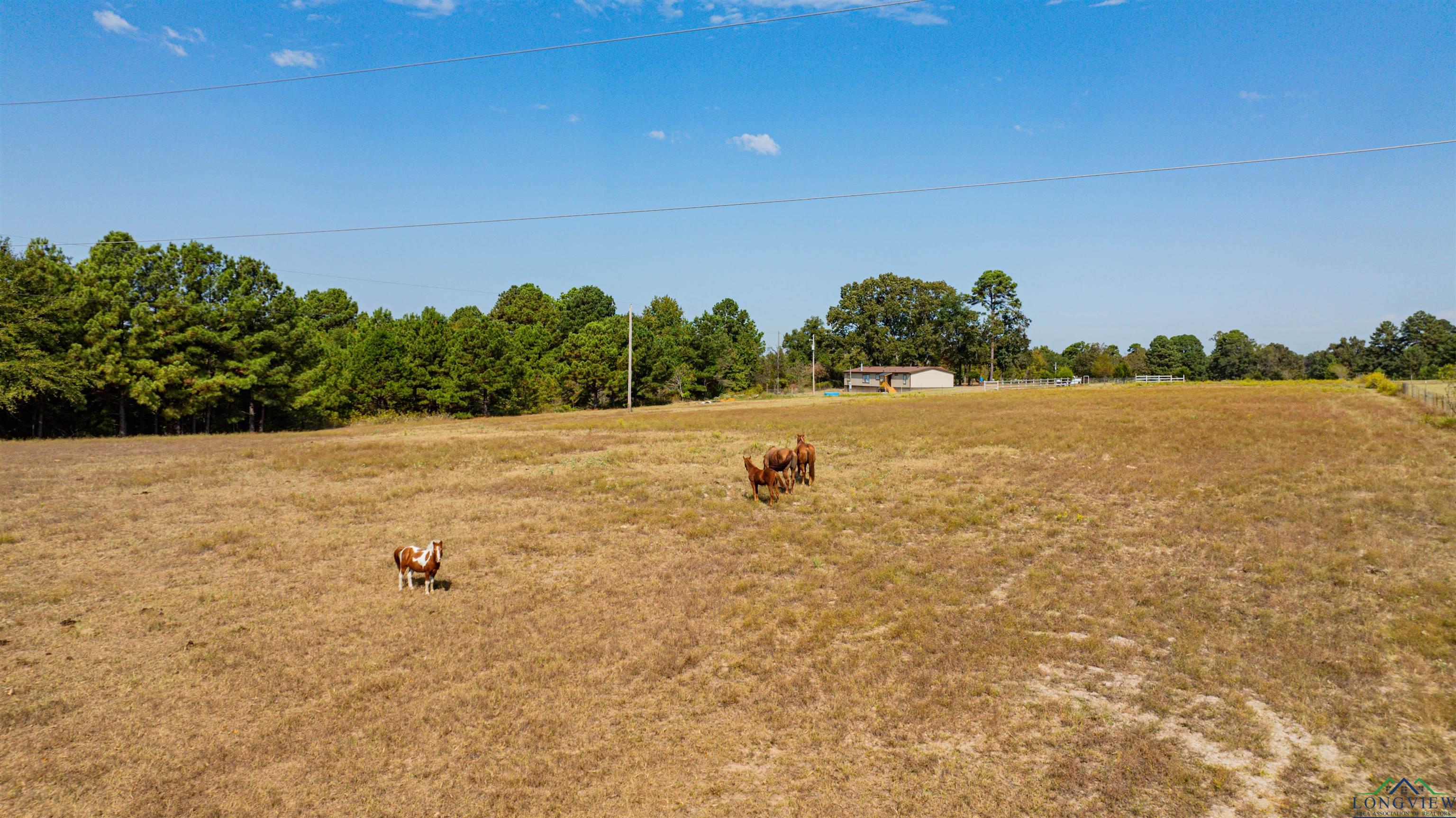 13080 Fm 16 E, Winona, Texas image 30