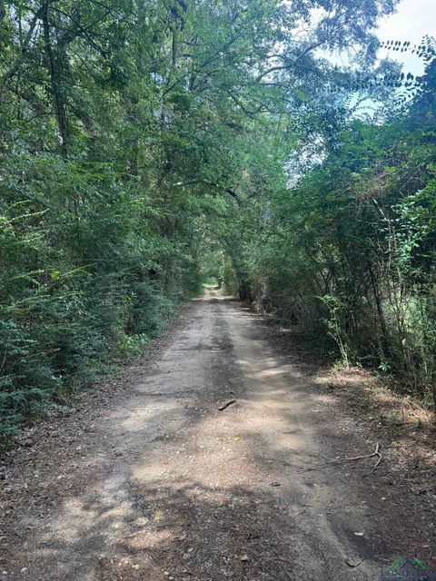 Vacant Land For Sale - 1748 Fm 1252 W<br/> Kilgore, TX 75662