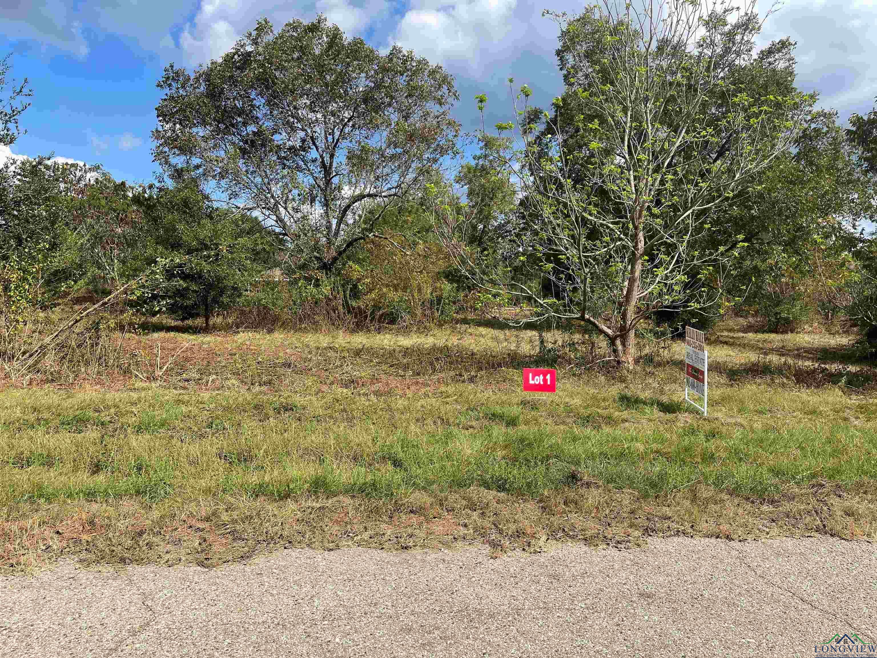 TBD LOT 1 Cr 2204 D & Fm 1797, Tatum, Texas image 1