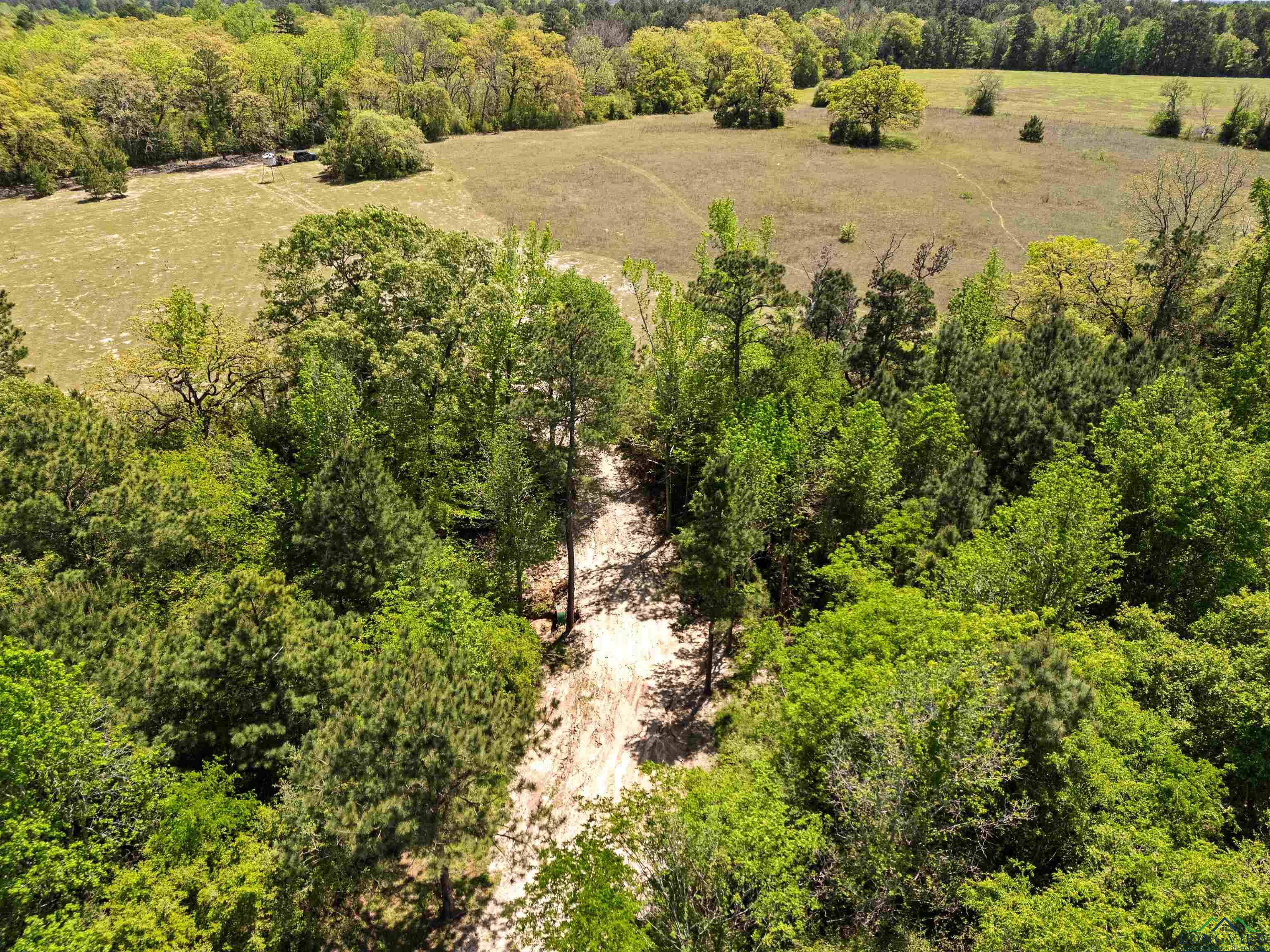 9190 County Road 2136, Henderson, Texas image 32