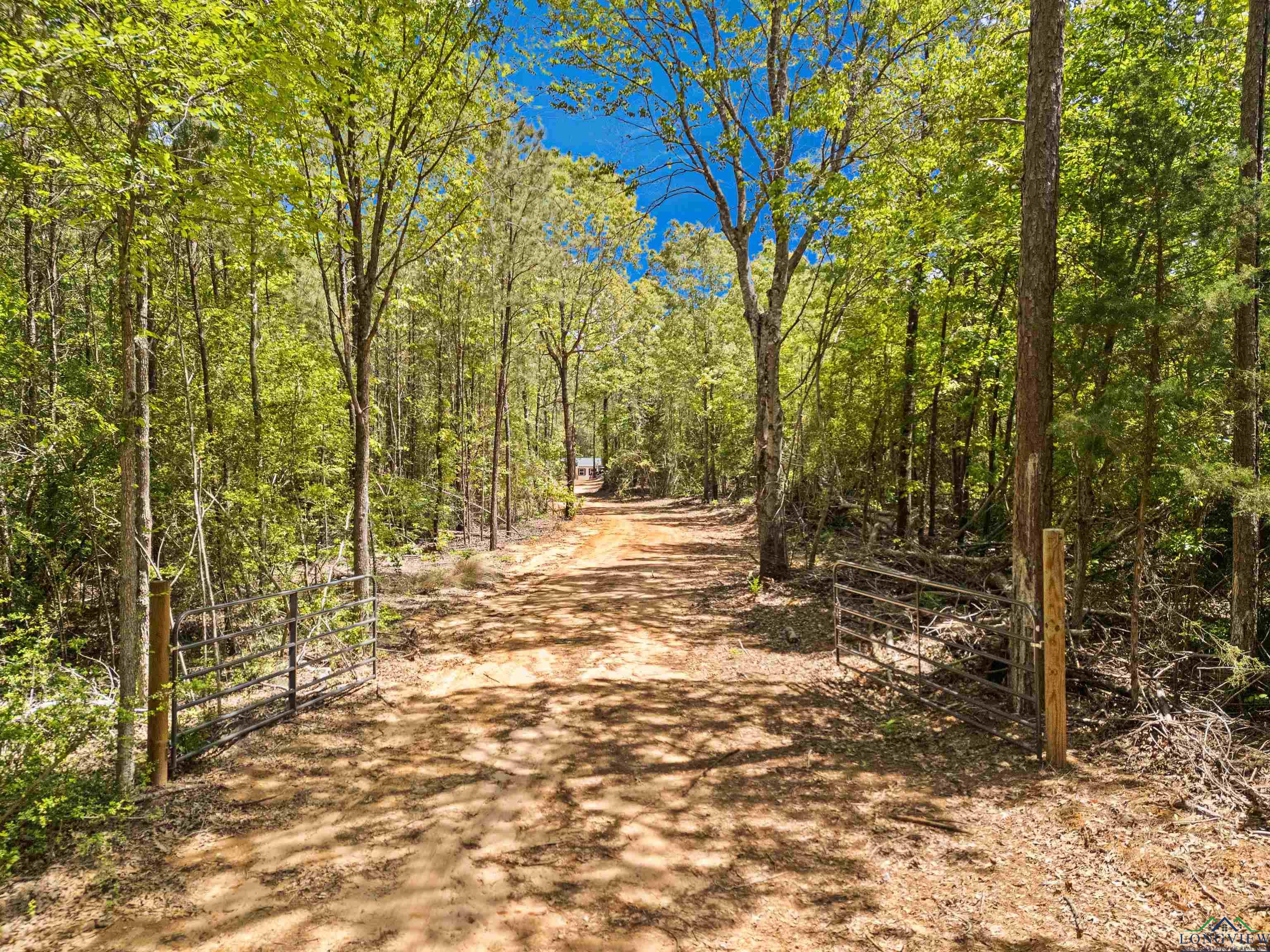 9190 County Road 2136, Henderson, Texas image 1