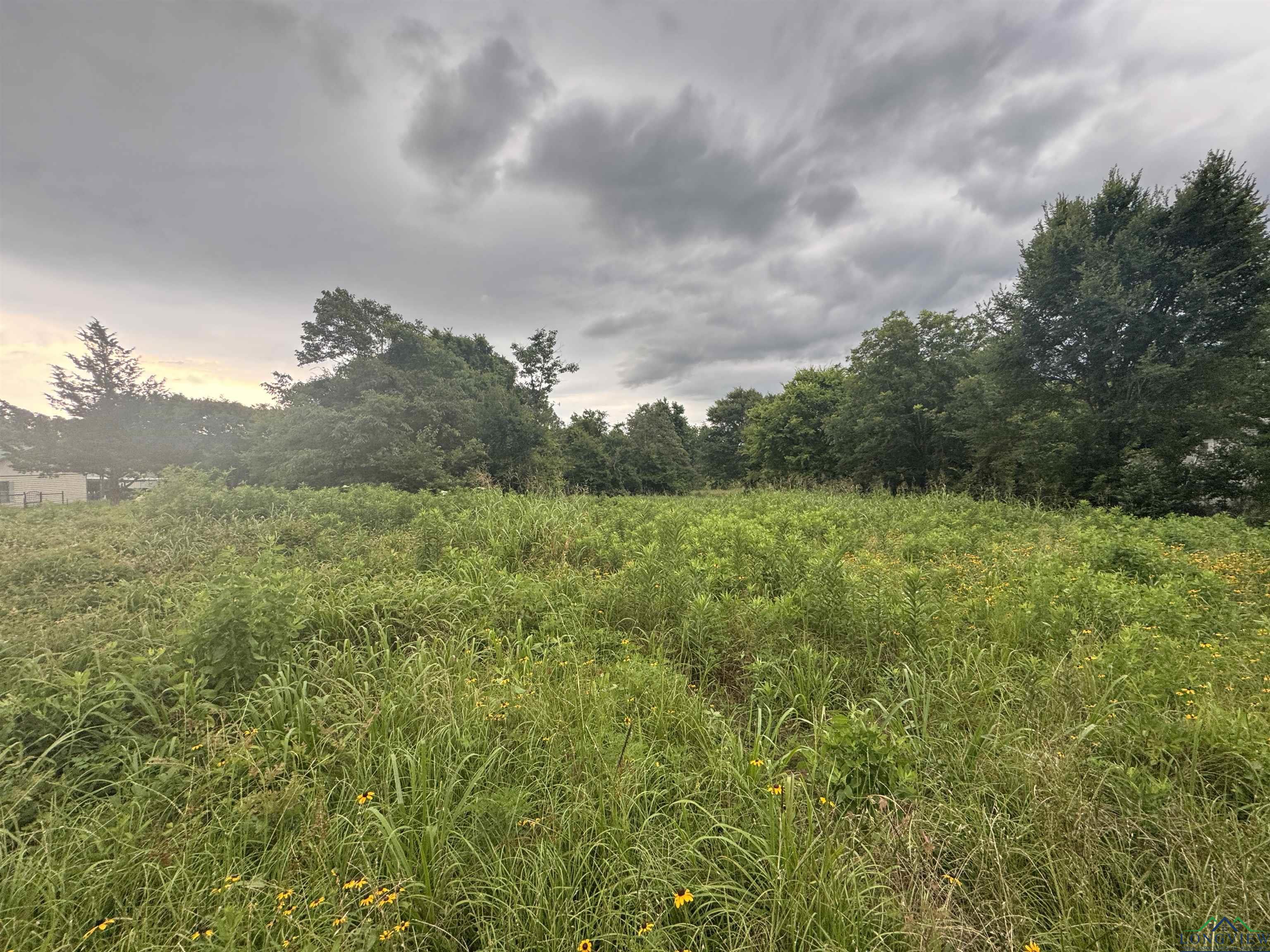 TBD S 342, Henderson, Texas image 4