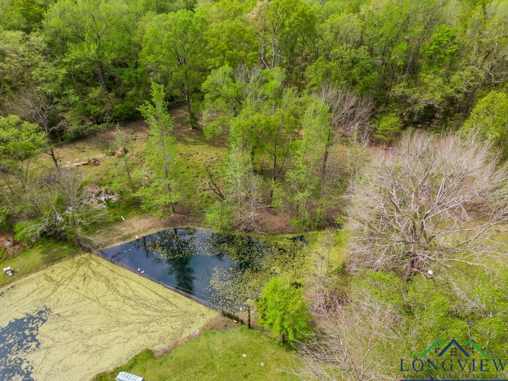 13099 Cr 3104, Gladewater, Texas image 22