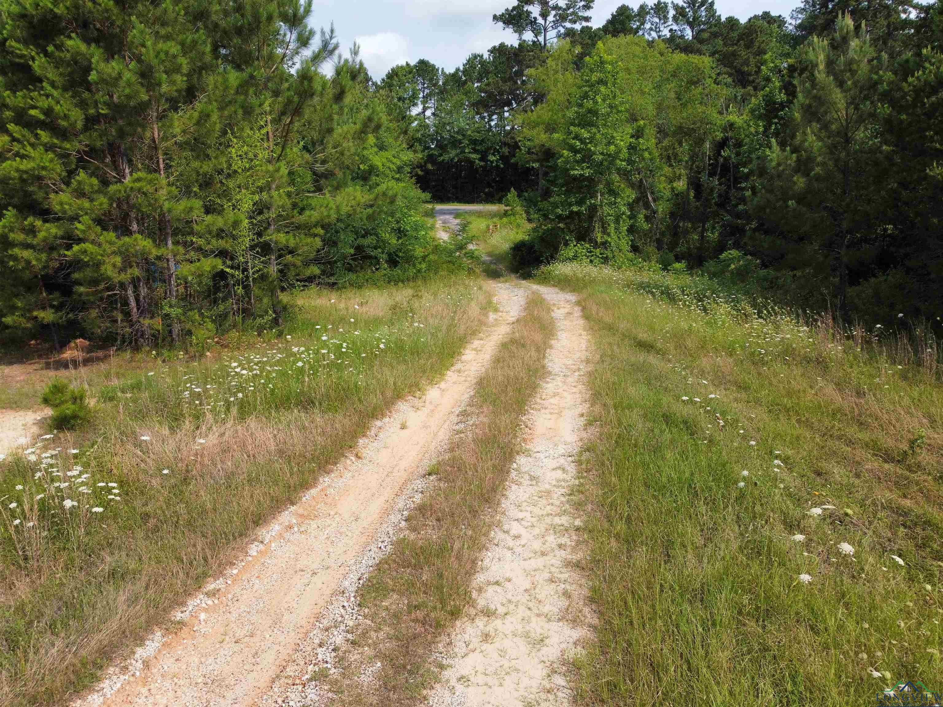 0000 E State Highway 43, Tatum, Texas image 11