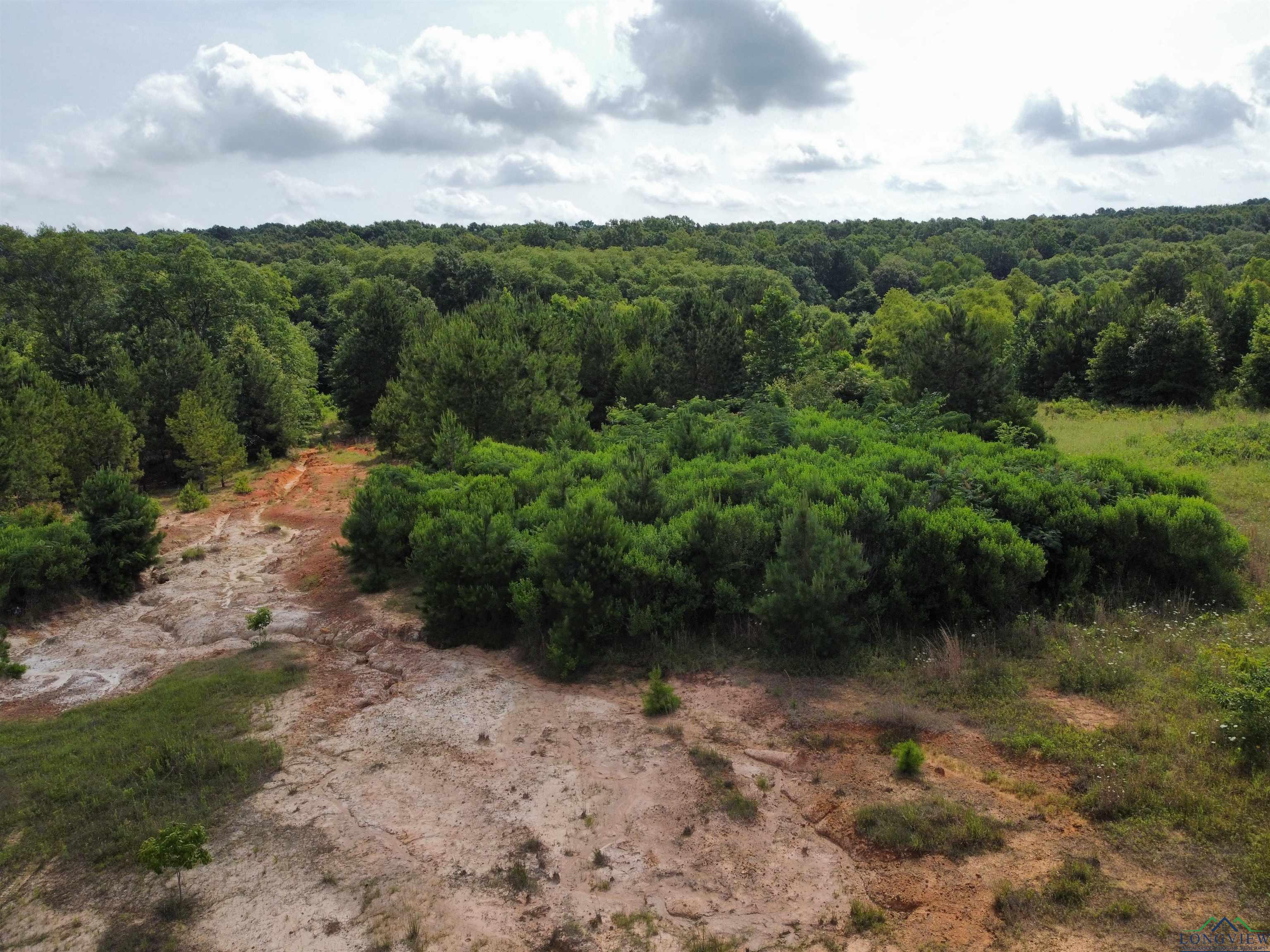 0000 E State Highway 43, Tatum, Texas image 14