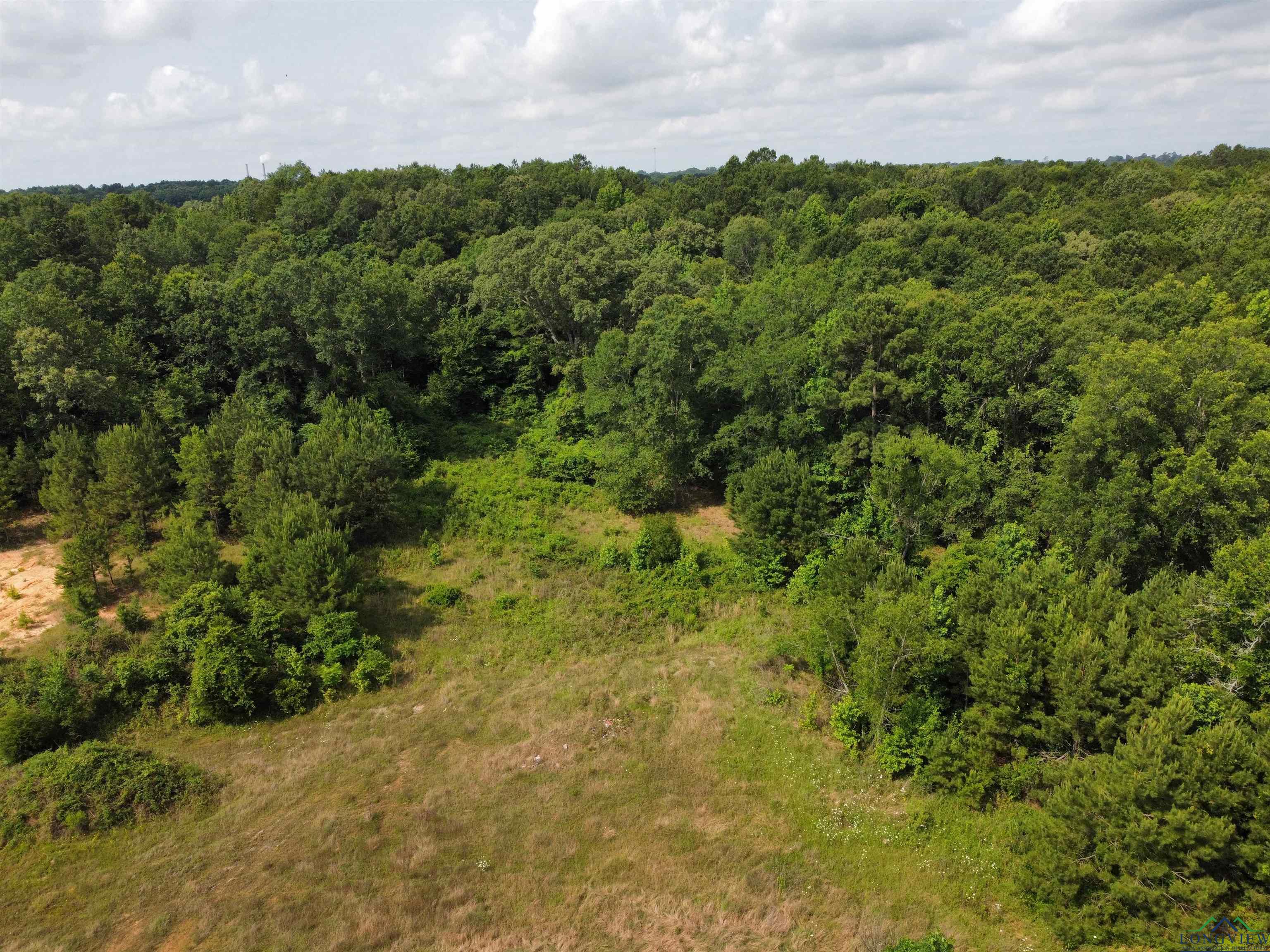 0000 E State Highway 43, Tatum, Texas image 9