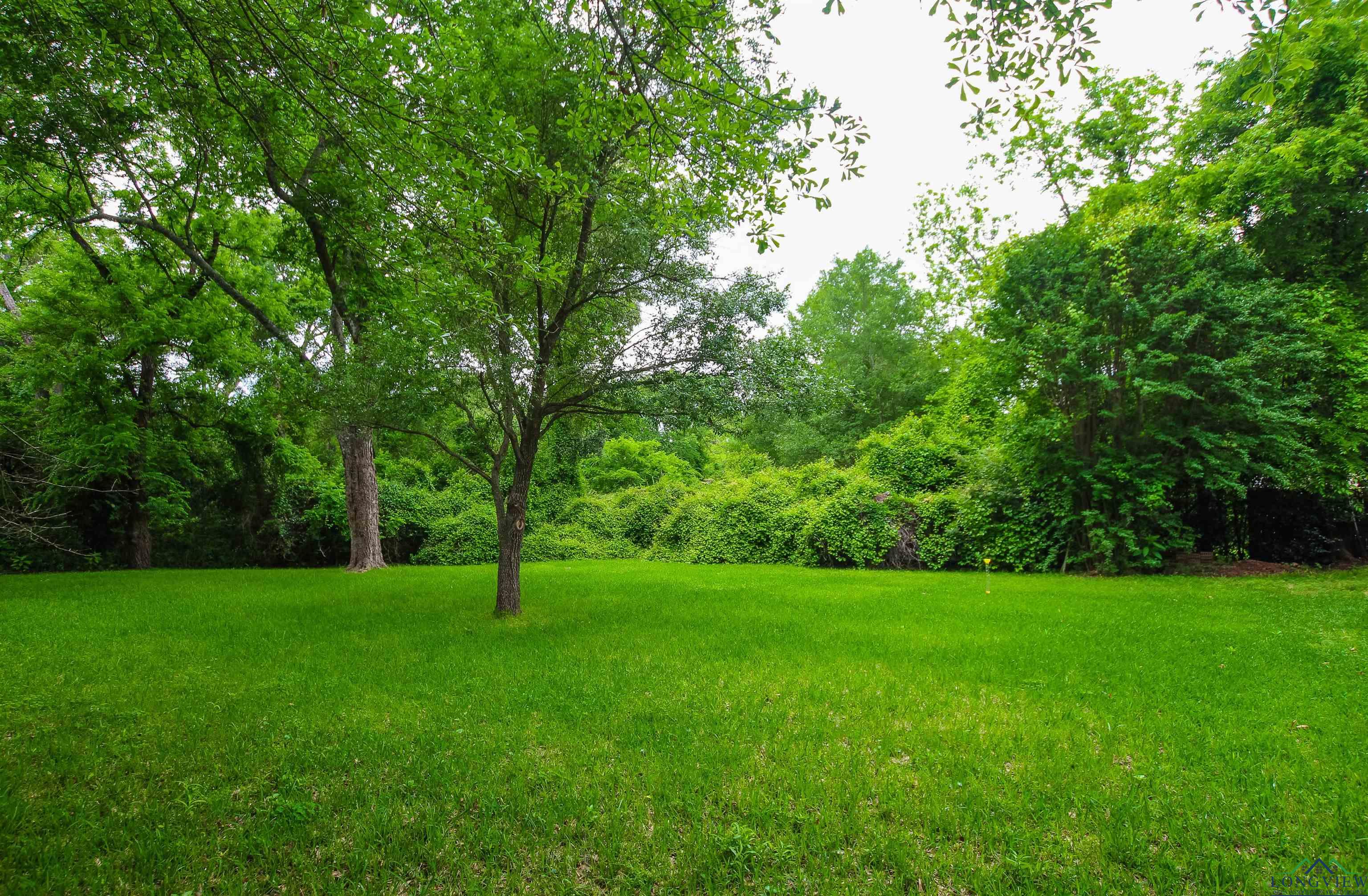 609 N Marshall St, Henderson, Texas image 33