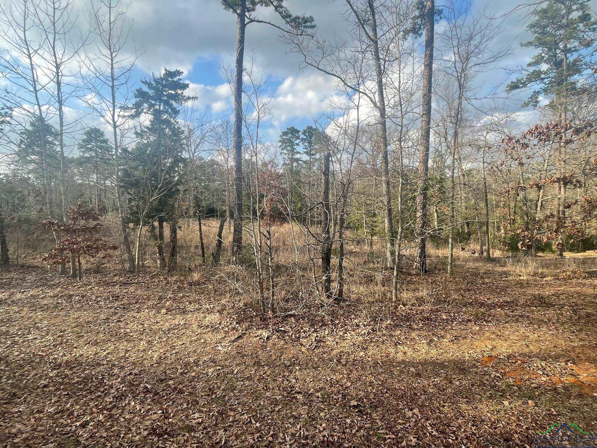 Lot 7 Lake Gladewater Rd, Gladewater, Texas image 2