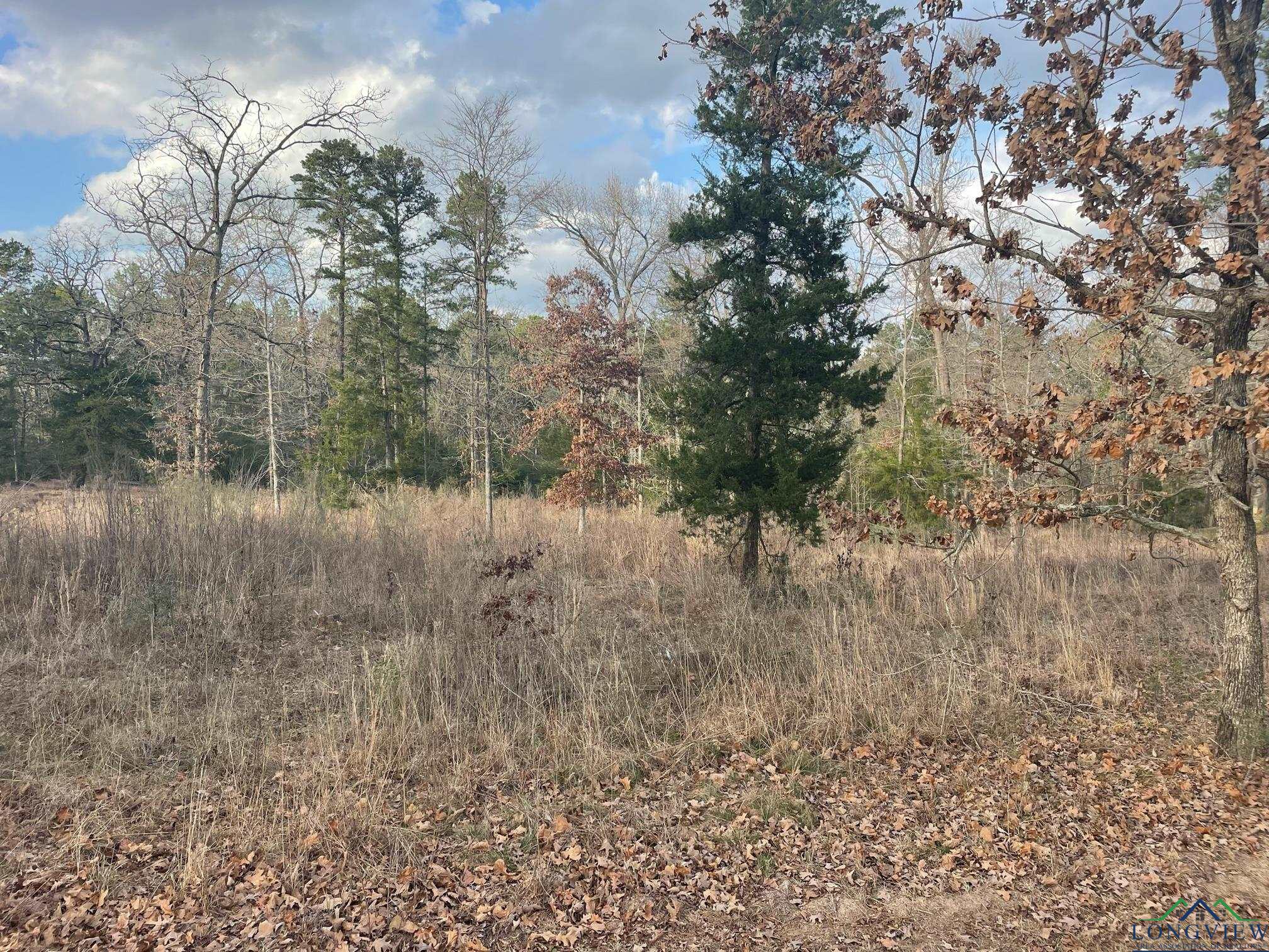 Lot 7 Lake Gladewater Rd, Gladewater, Texas image 4