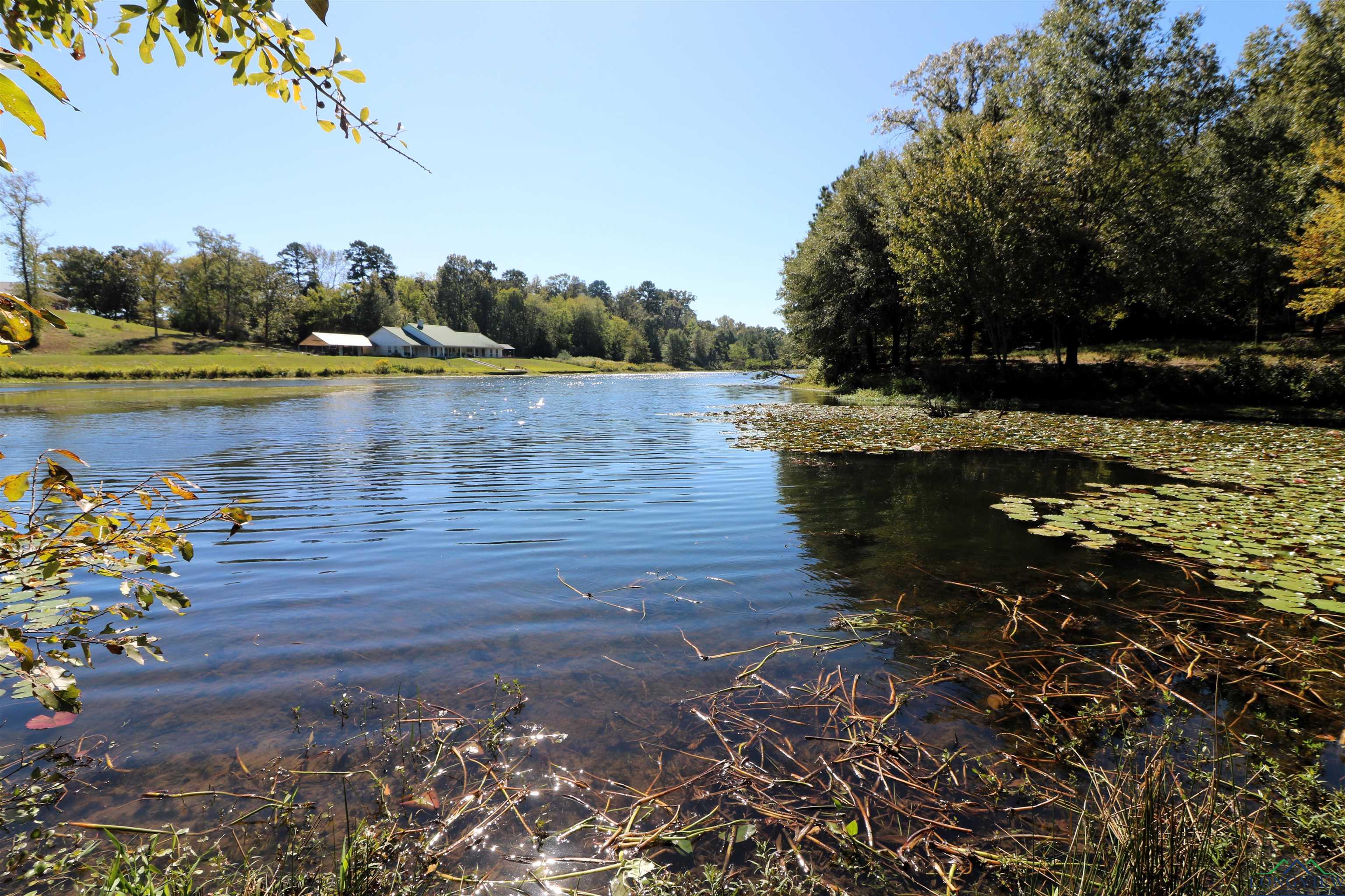 Lot 16 Block 3 John Dean Road, Gilmer, Texas image 4