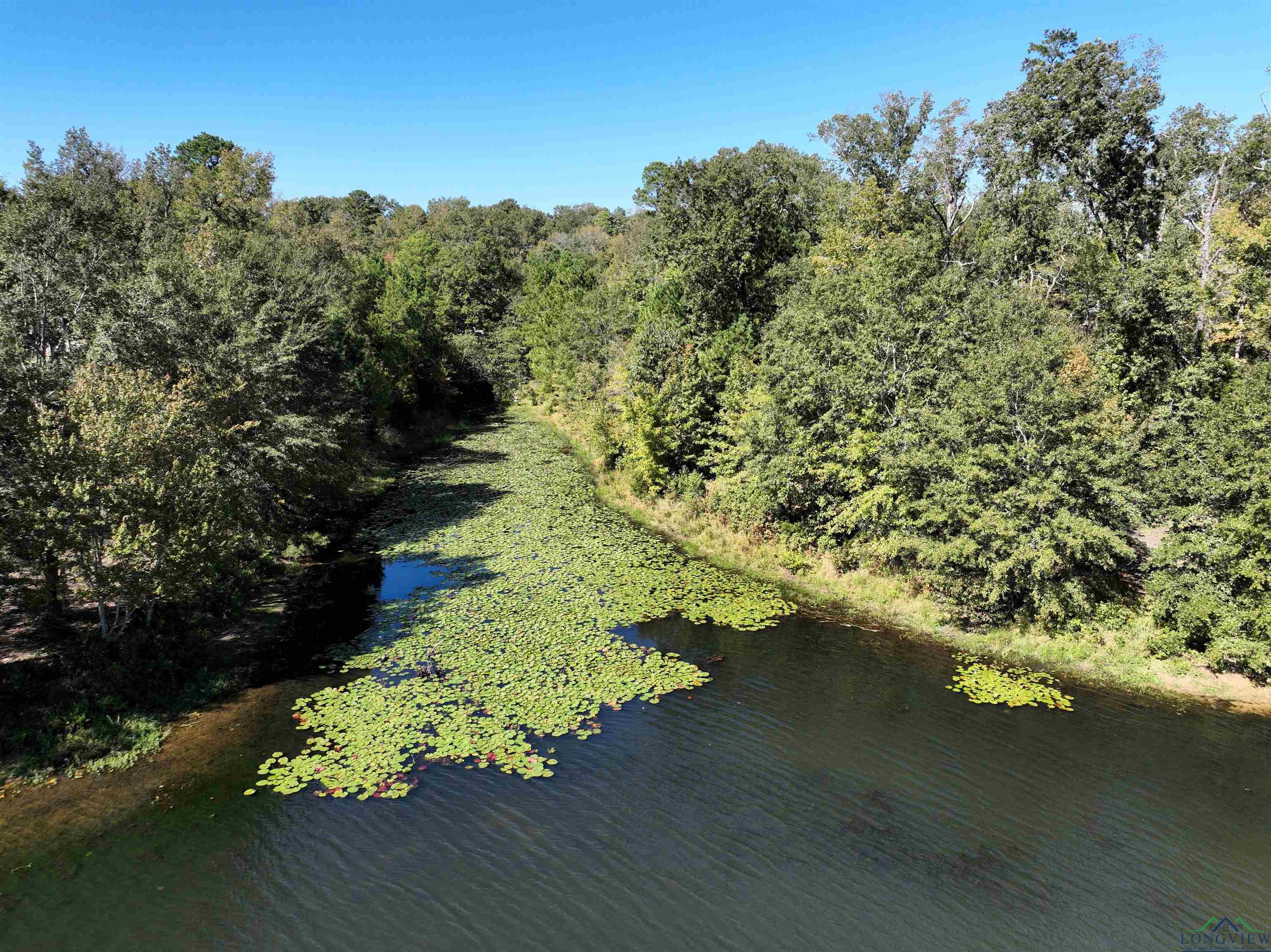 Lot 16 Block 3 John Dean Road, Gilmer, Texas image 8