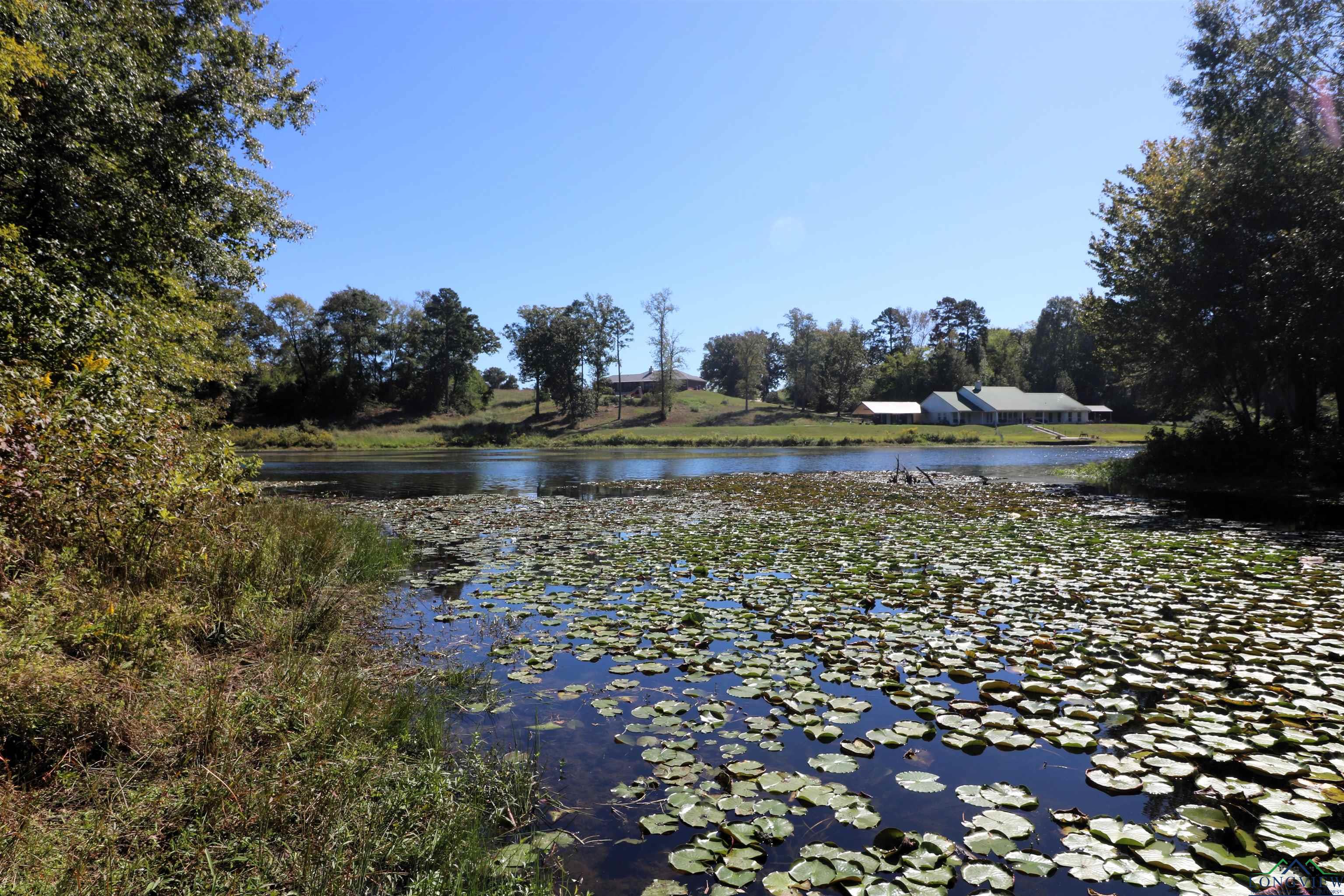 Lot 16 Block 3 John Dean Road, Gilmer, Texas image 7