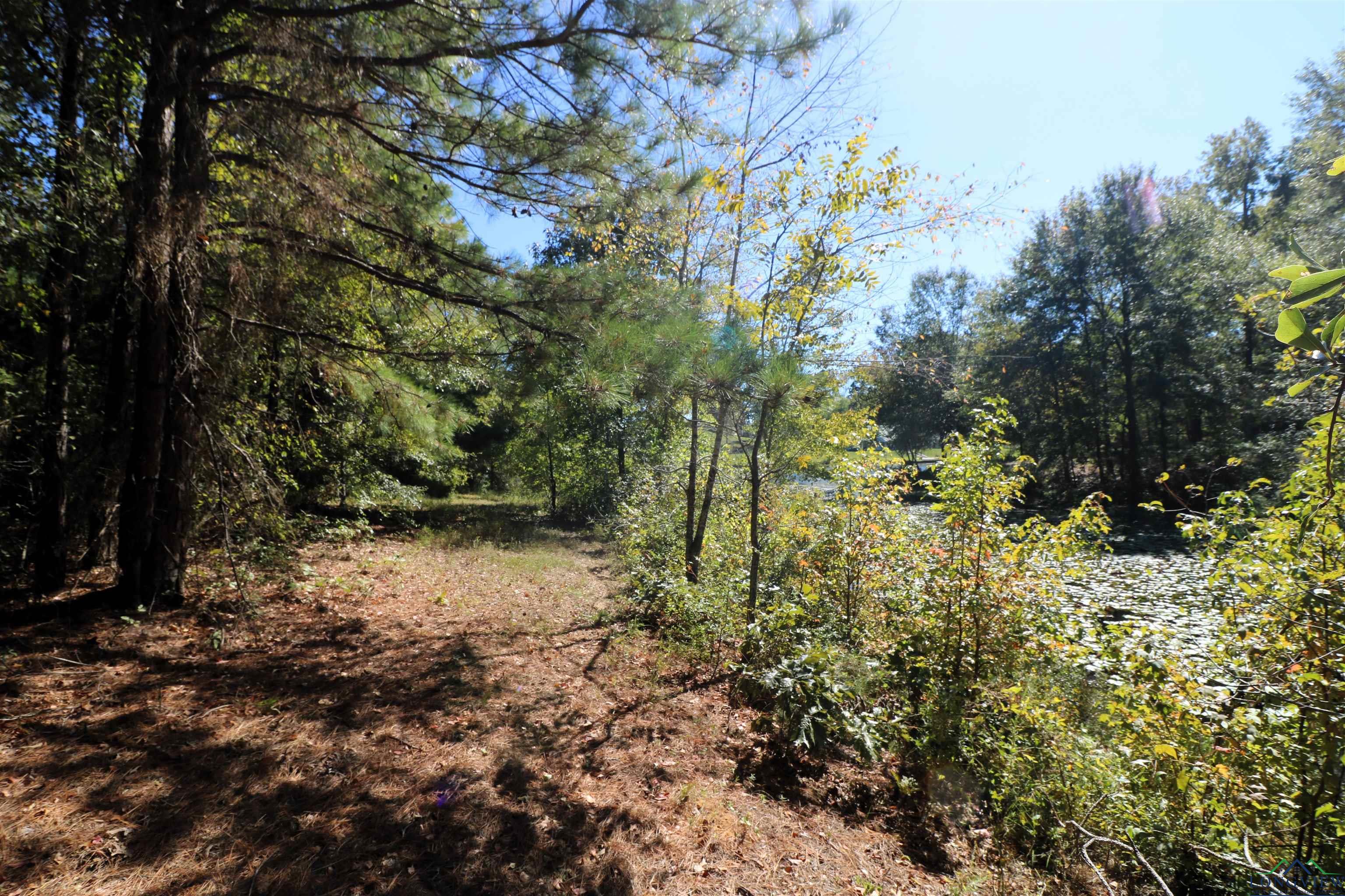 Lot 16 Block 3 John Dean Road, Gilmer, Texas image 11