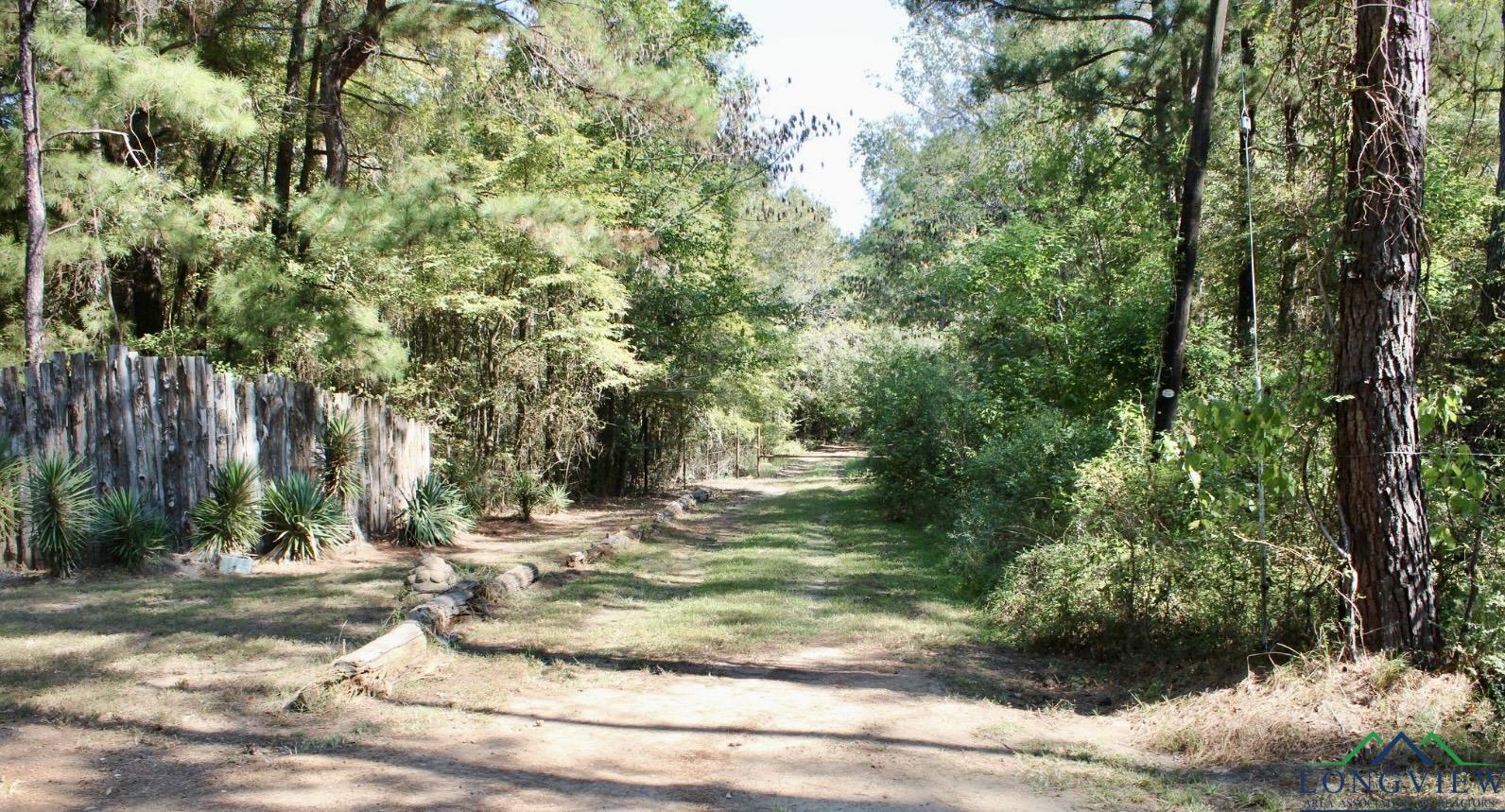 TBD County Road 3311, De Berry, Texas image 1