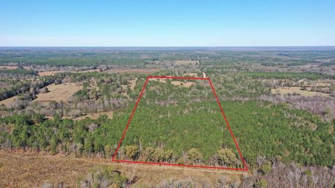 Vacant Land For Sale - 16773 Texas Highway 77<br/> Marietta, TX 75566
