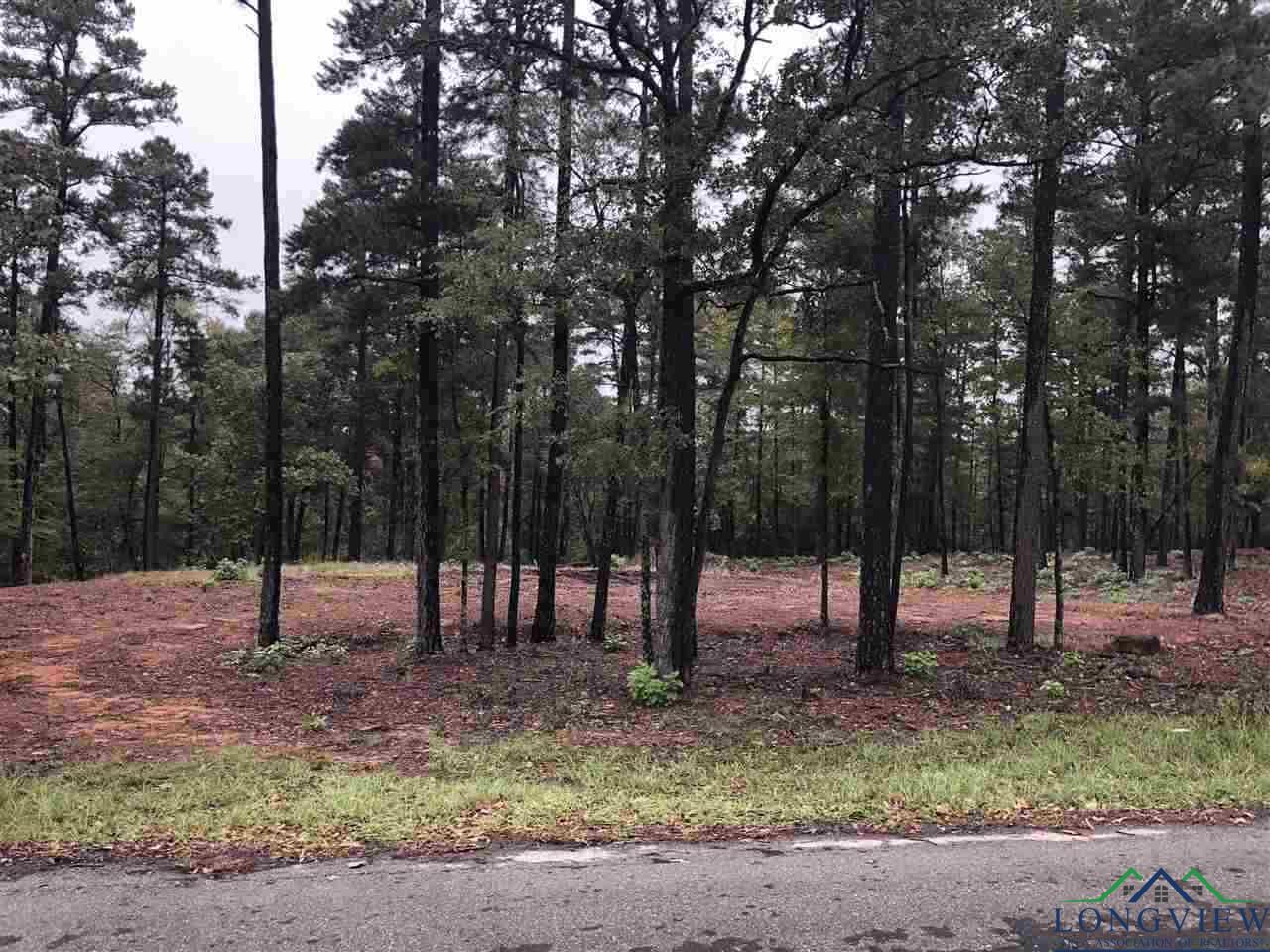 LOT 4 Lake Gladewater Rd, Gladewater, Texas image 2