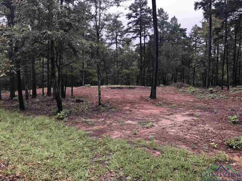 Vacant Land For Sale - LOT 4 Lake Gladewater Rd<br/> Gladewater, TX 75647