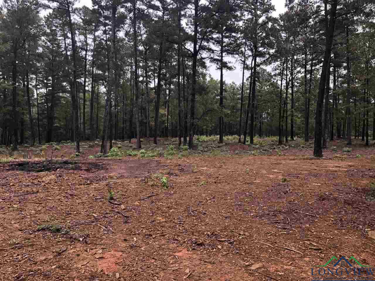 LOT 4 Lake Gladewater Rd, Gladewater, Texas image 5