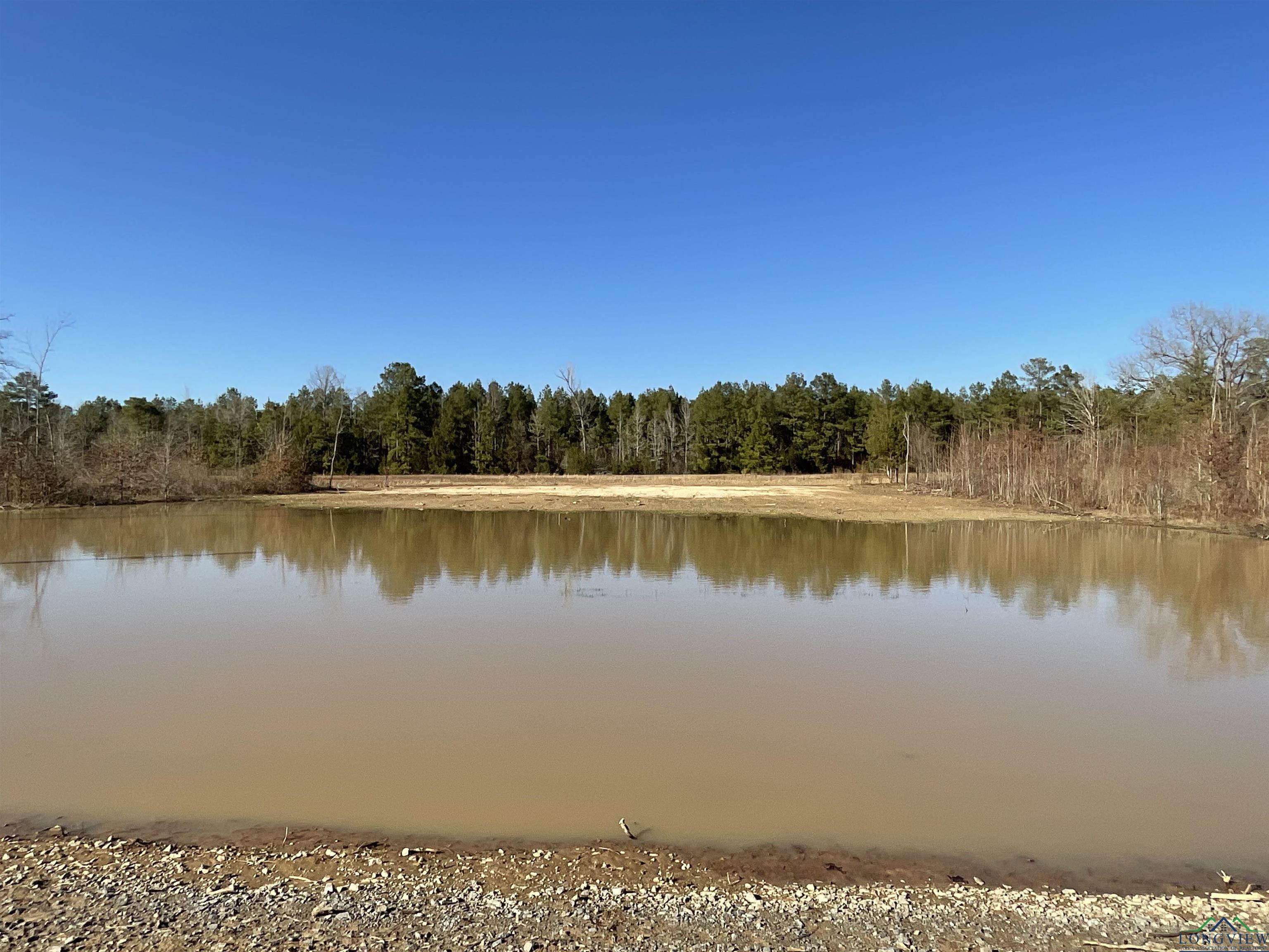 Lot 18 El Ranchos Rojas Road, Marshall, Texas image 10