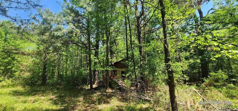 Vacant Land For Sale - Cr 3233<br/> Red River County, Clarksville, TX 75426