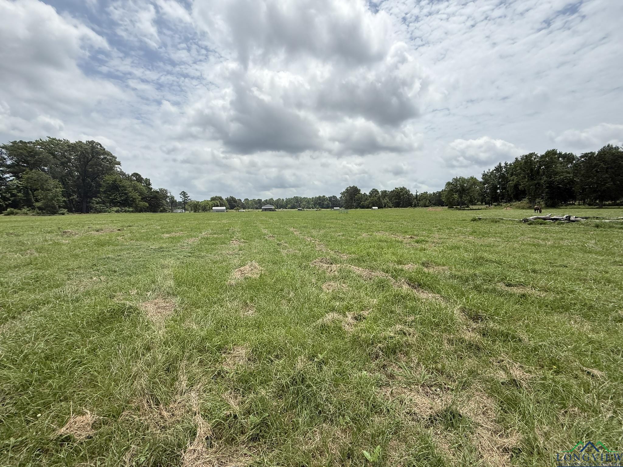 TBD Fm 993, Pittsburg, Texas image 10