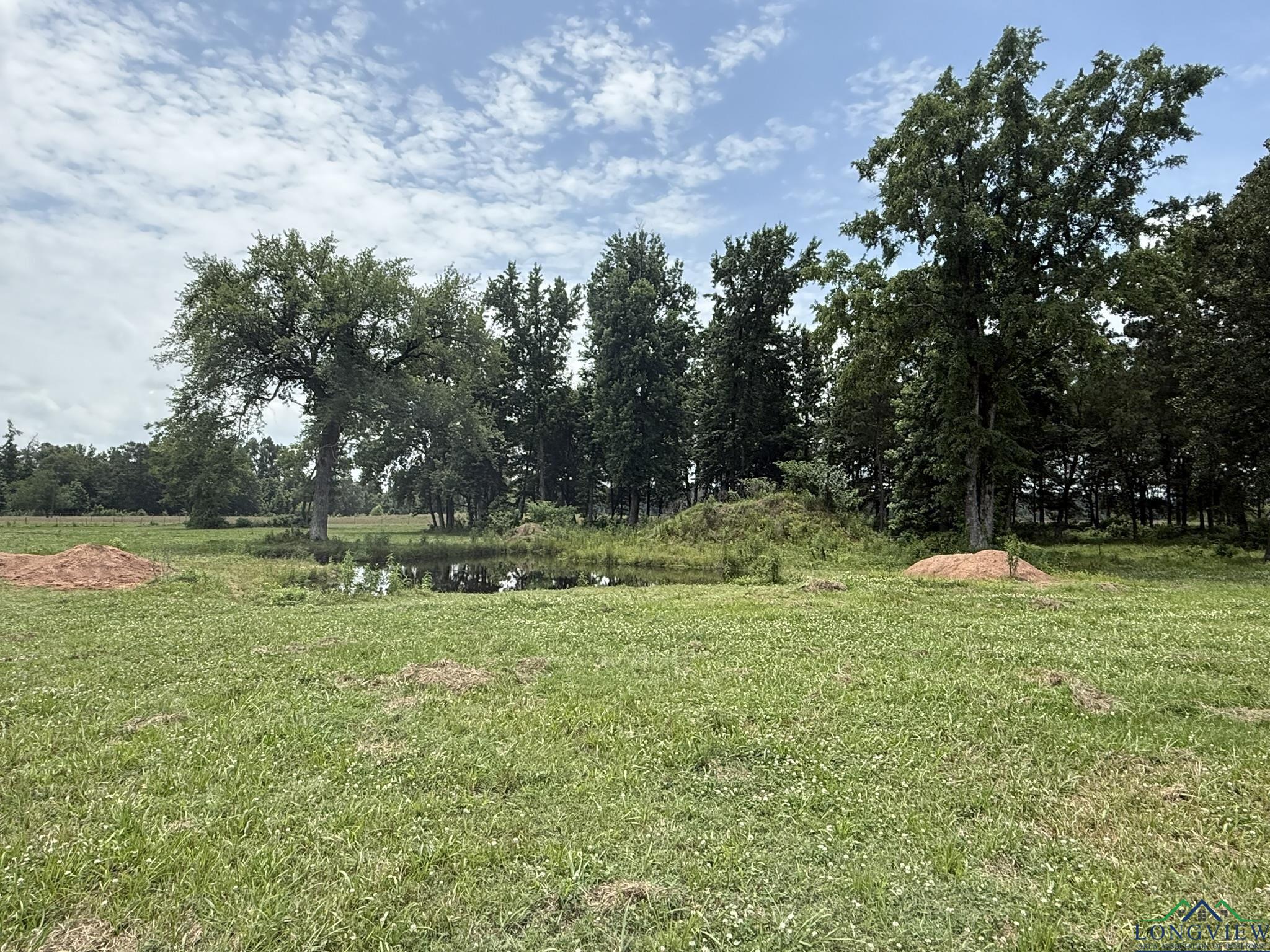 TBD Fm 993, Pittsburg, Texas image 18