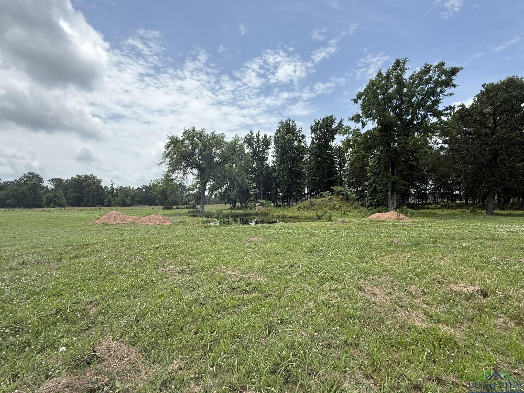 TBD Fm 993, Pittsburg, Texas image 17